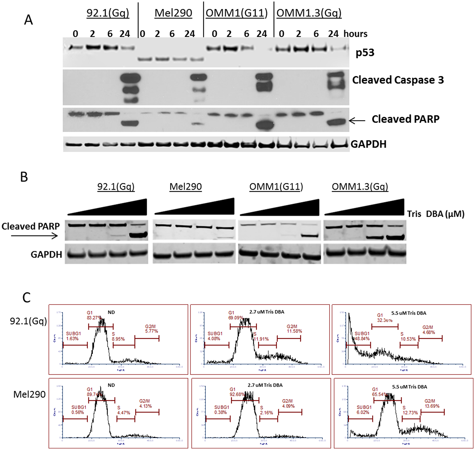 Tris DBA induces apoptosis in GNAQ mutant uveal melanoma.