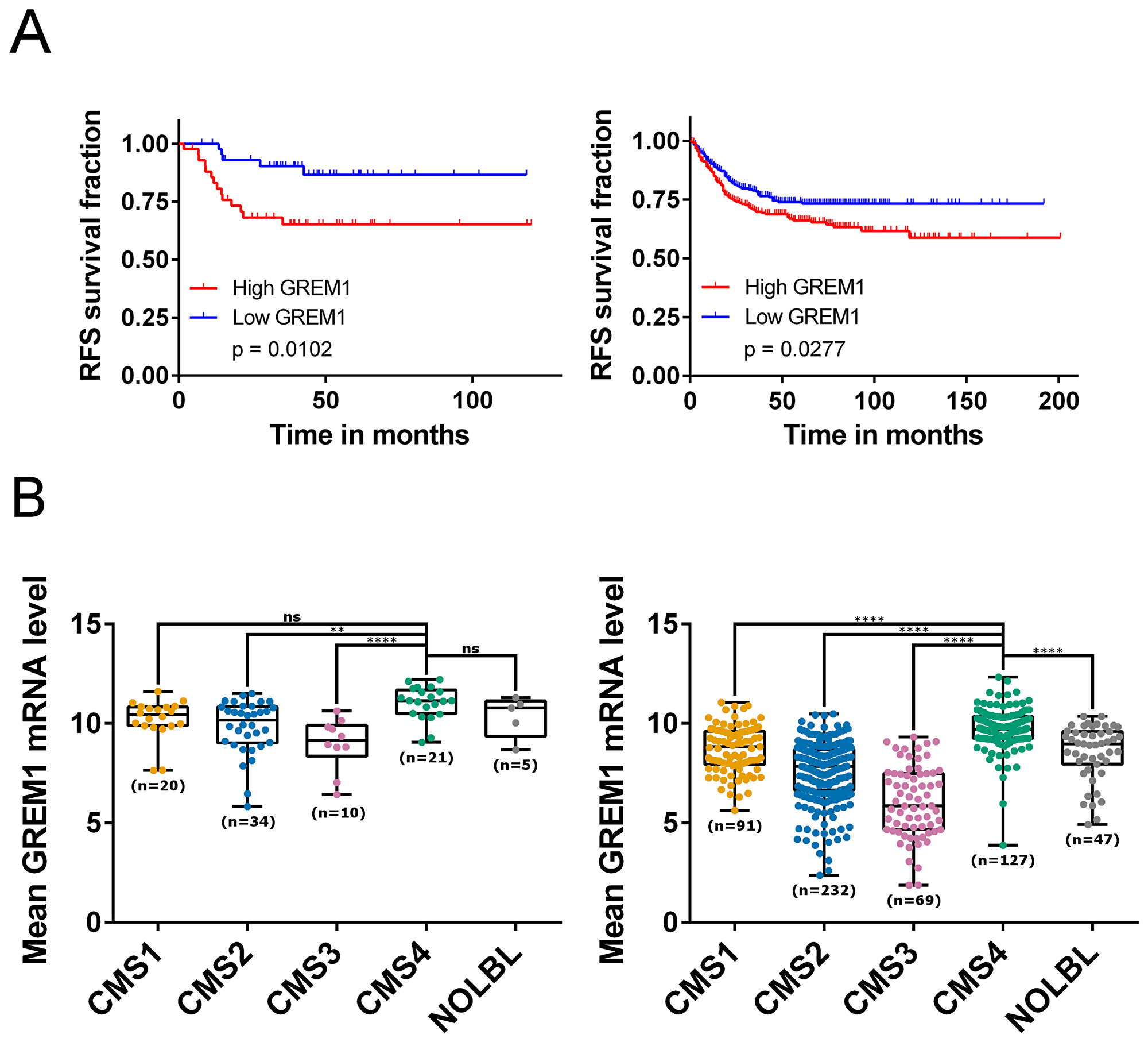 GREM1 mRNA levels correlate with prognosis, CMS subtypes and cancer cell types.