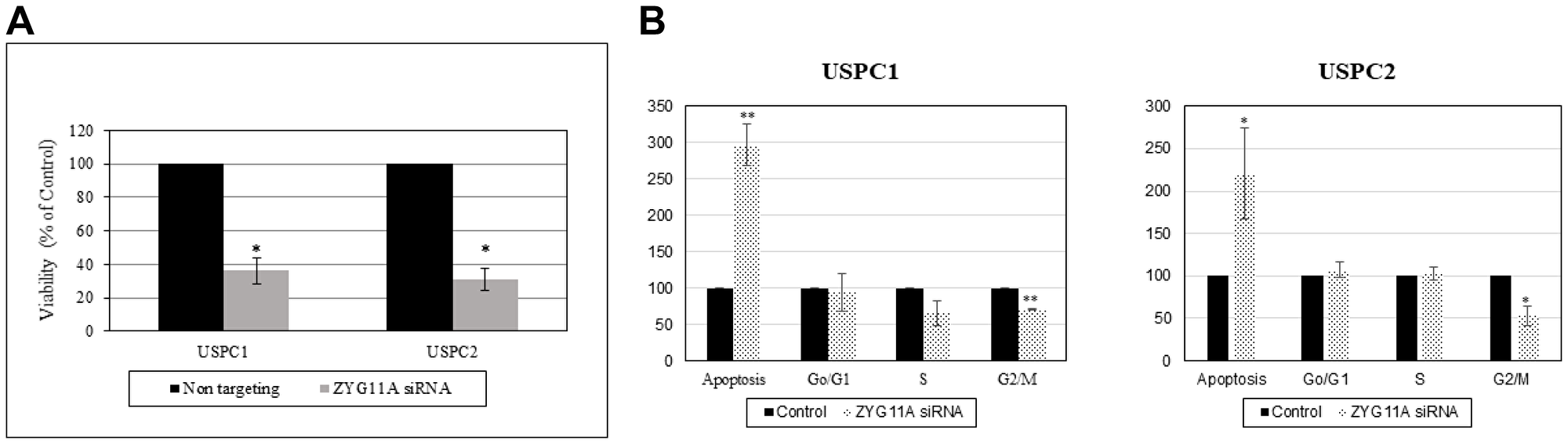 Effect of ZYG11A silencing on cell proliferation and cell cycle distribution.