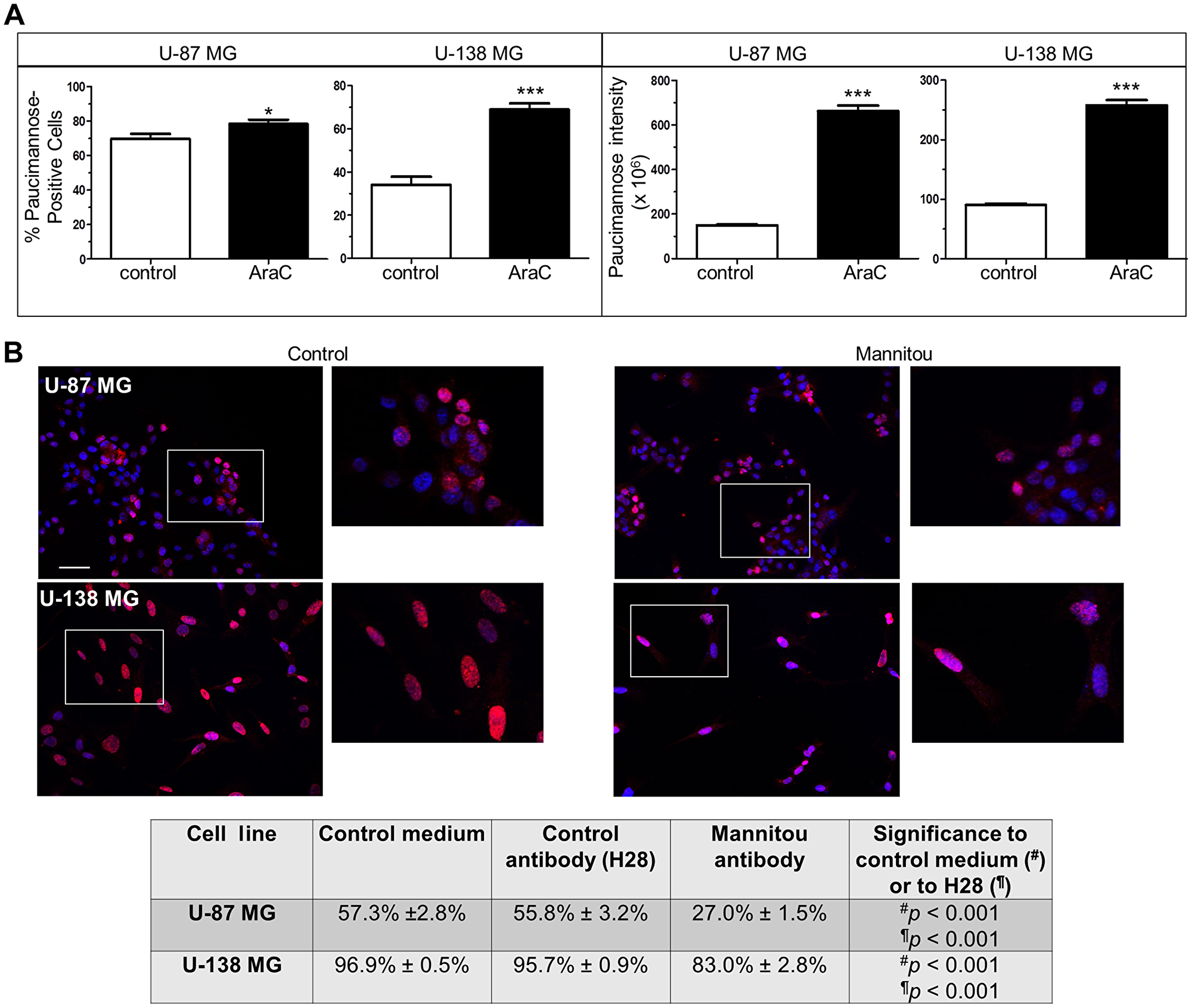 Paucimannosidic epitopes are involved in proliferation of U-87 MG and U-138 MG cells
