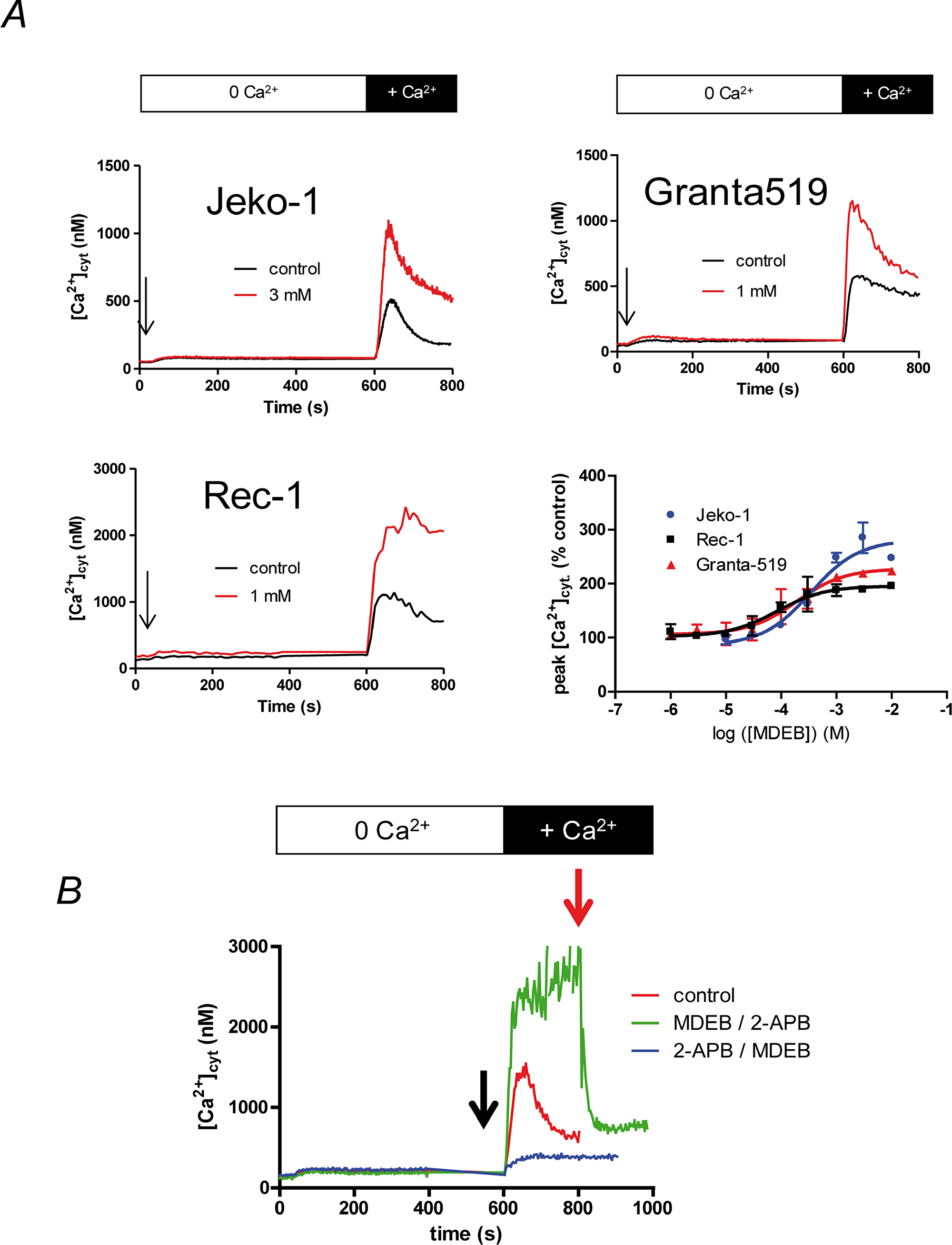 MDEB potentiates the SOCE of the MCL cell lines with different affinity.