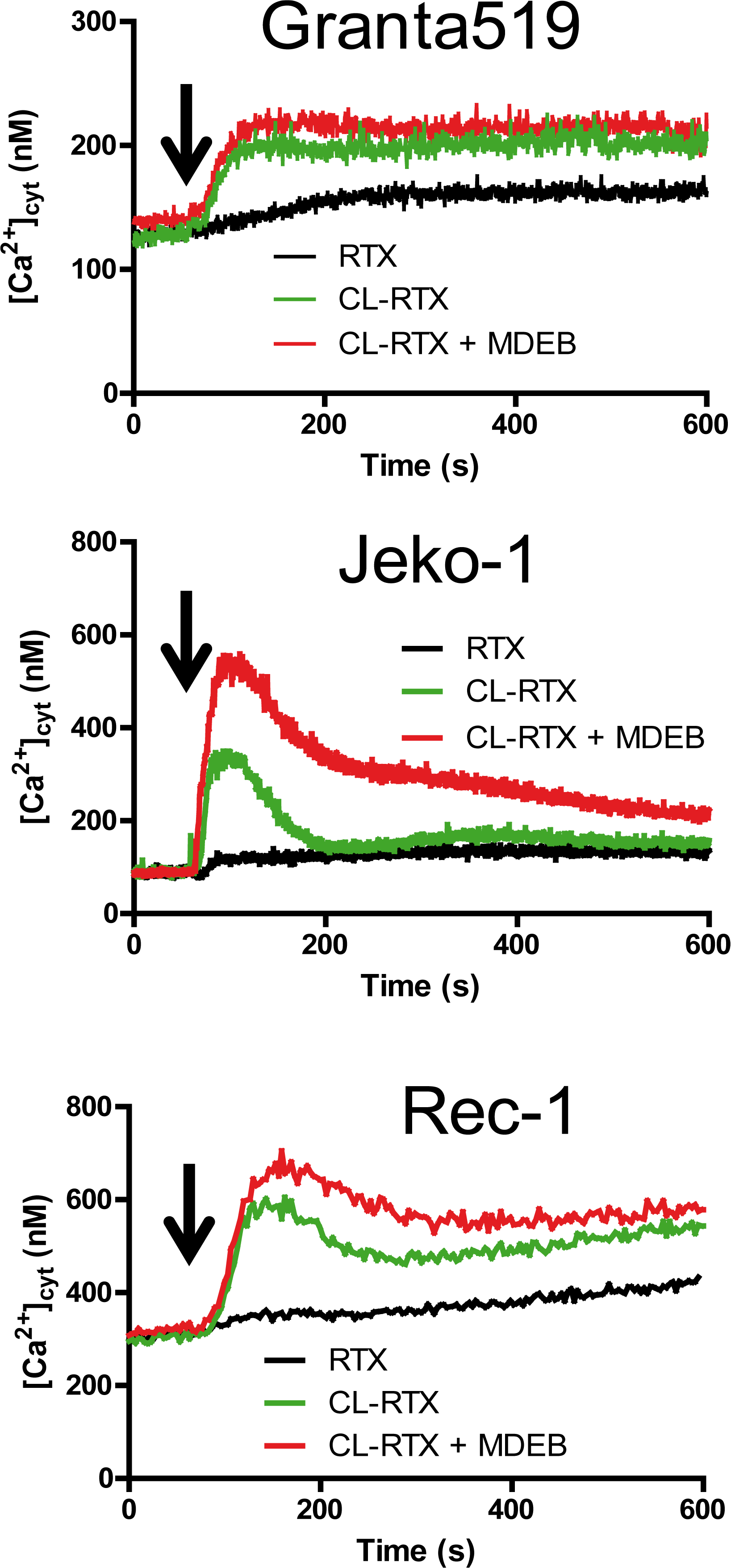 RTX and CL-RTX treatment differently modify the Ca2+ homeostasis of MCL cell lines.
