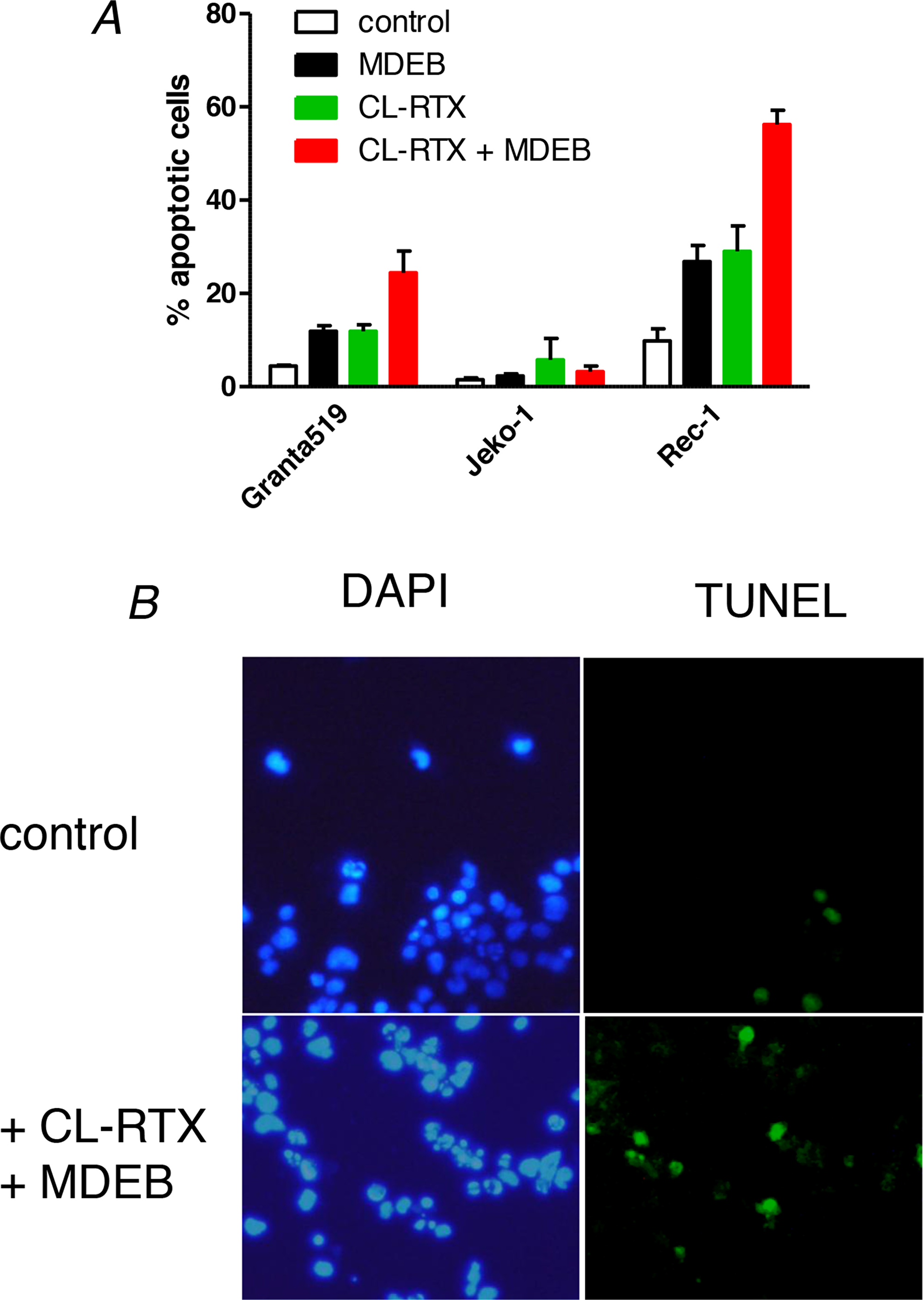 MDEB reinforce RTX-induced apoptosis of RTX-sensitive cell lines.