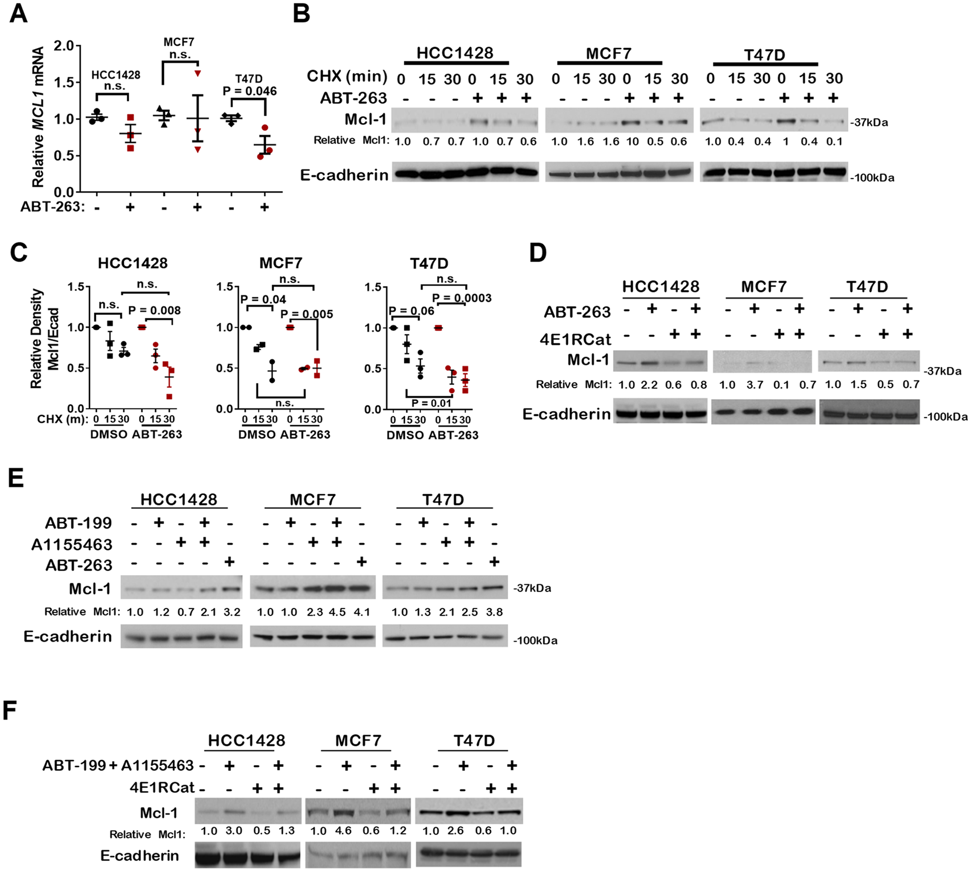 Pharmacological inhibition of Bcl-2 and/or Bcl-xL increases Mcl-1 expression through cap-dependent translation