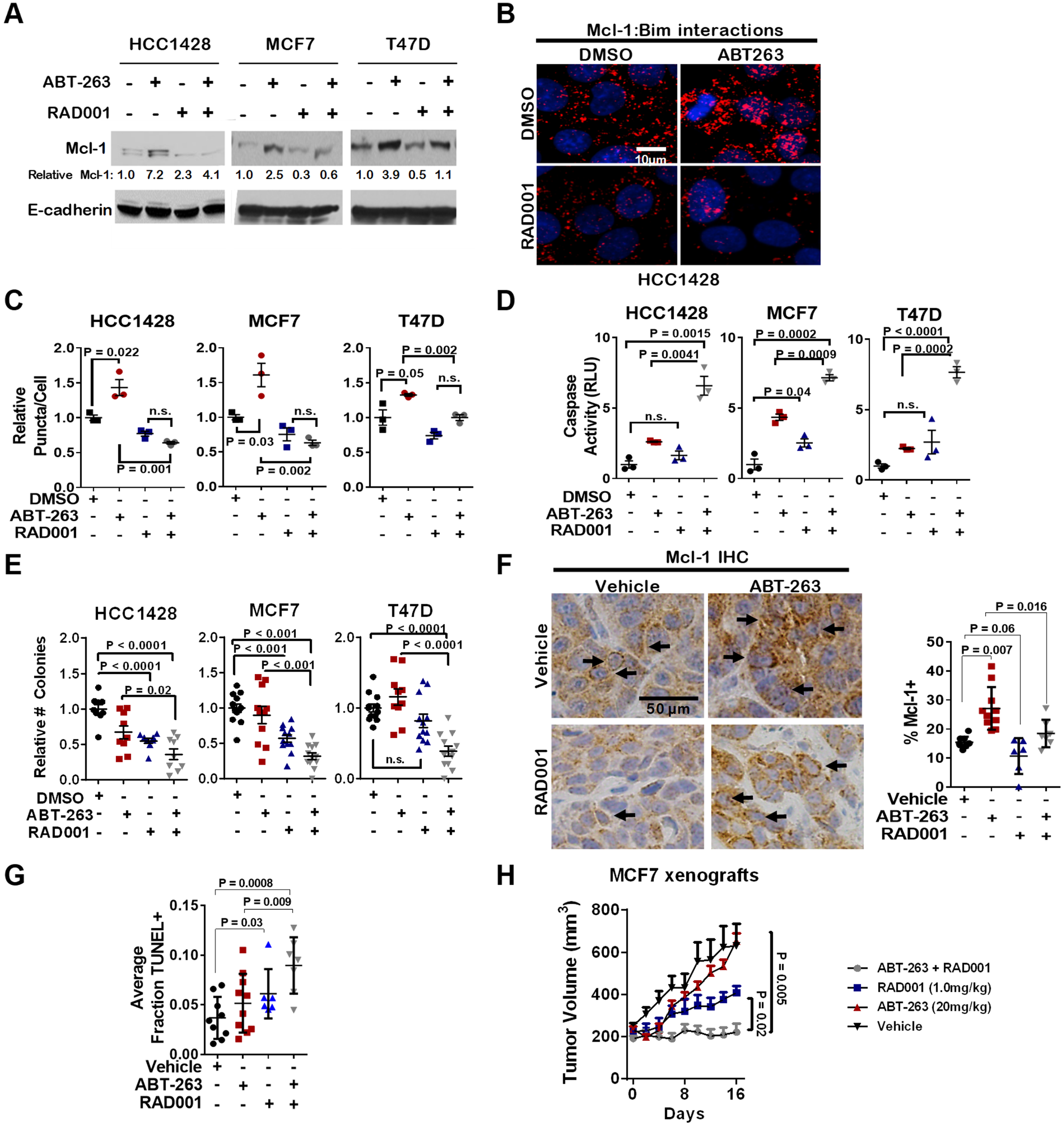Inhibition of mTORC1 blocks Mcl-1 upregulation in response to ABT-263, and sensitizes ERα+ breast cancers to ABT-263-mediated cell death