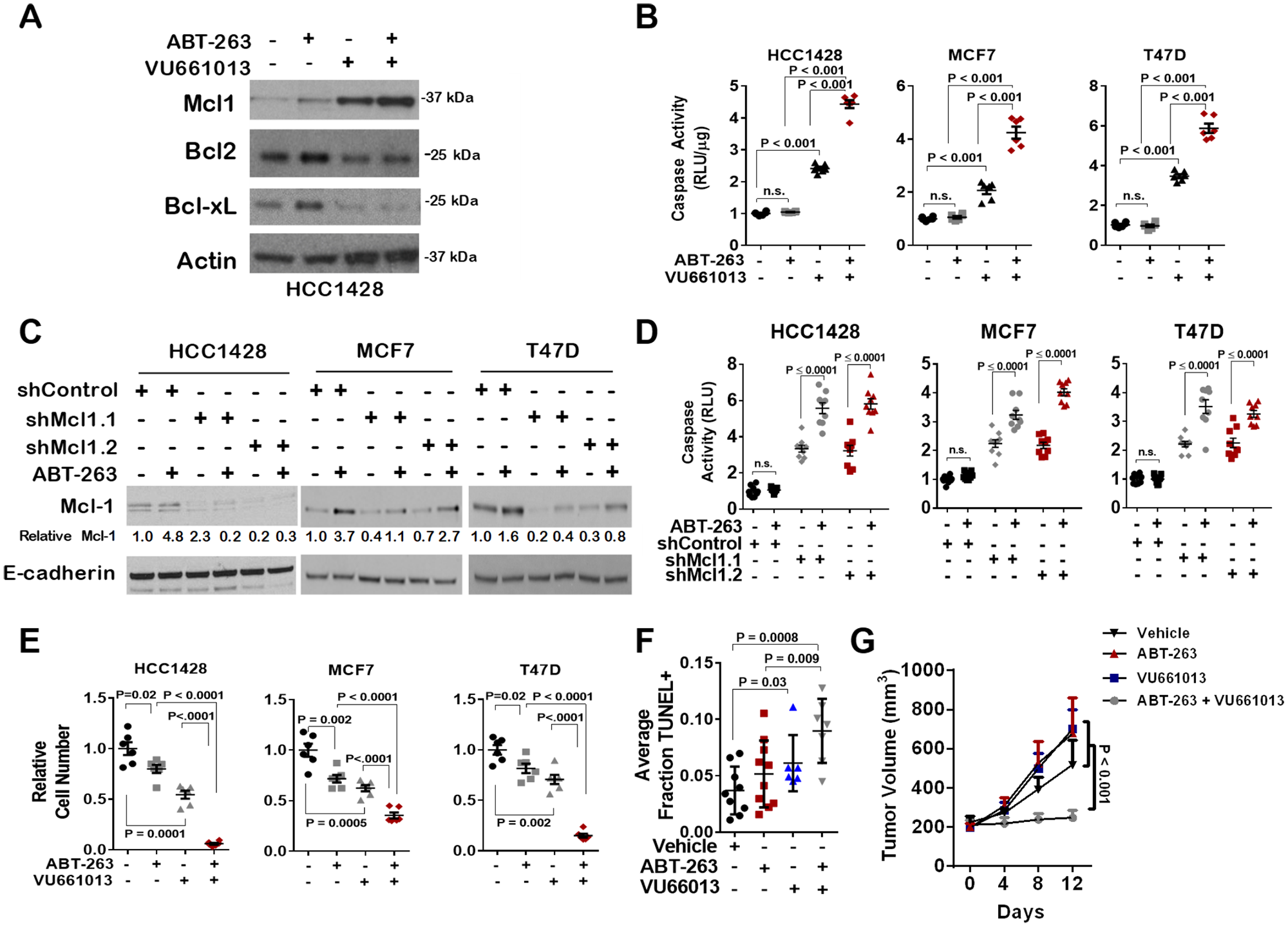 Increased Mcl-1 activity, but not expression, in response to ABT-263 is blocked by the novel Mcl-1 inhibitor VU661013