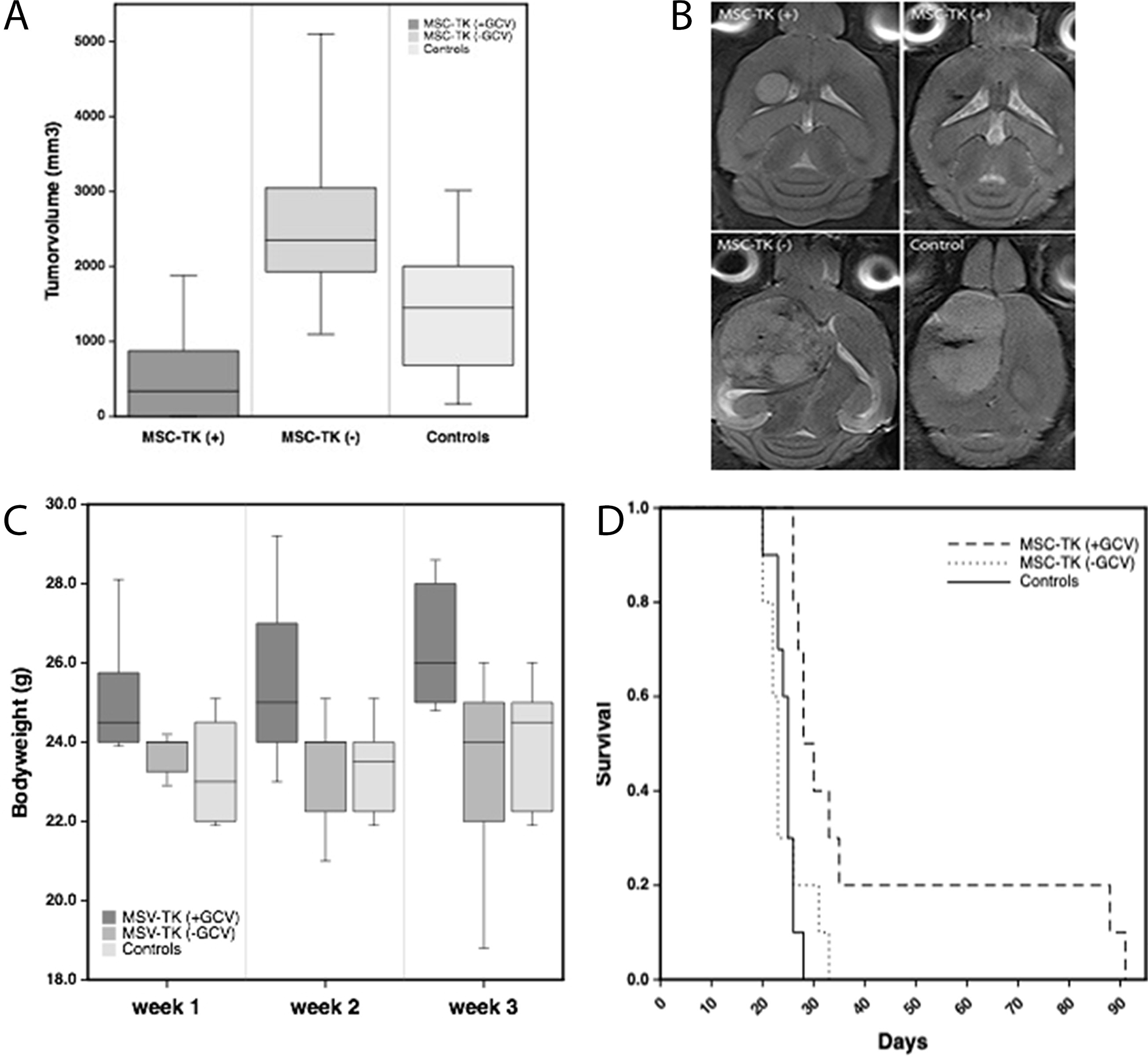 Therapeutic effects of local intratumoral injection of HSV-TK expressing MSC (MSC-TK) followed by five days of systemic GCV administration