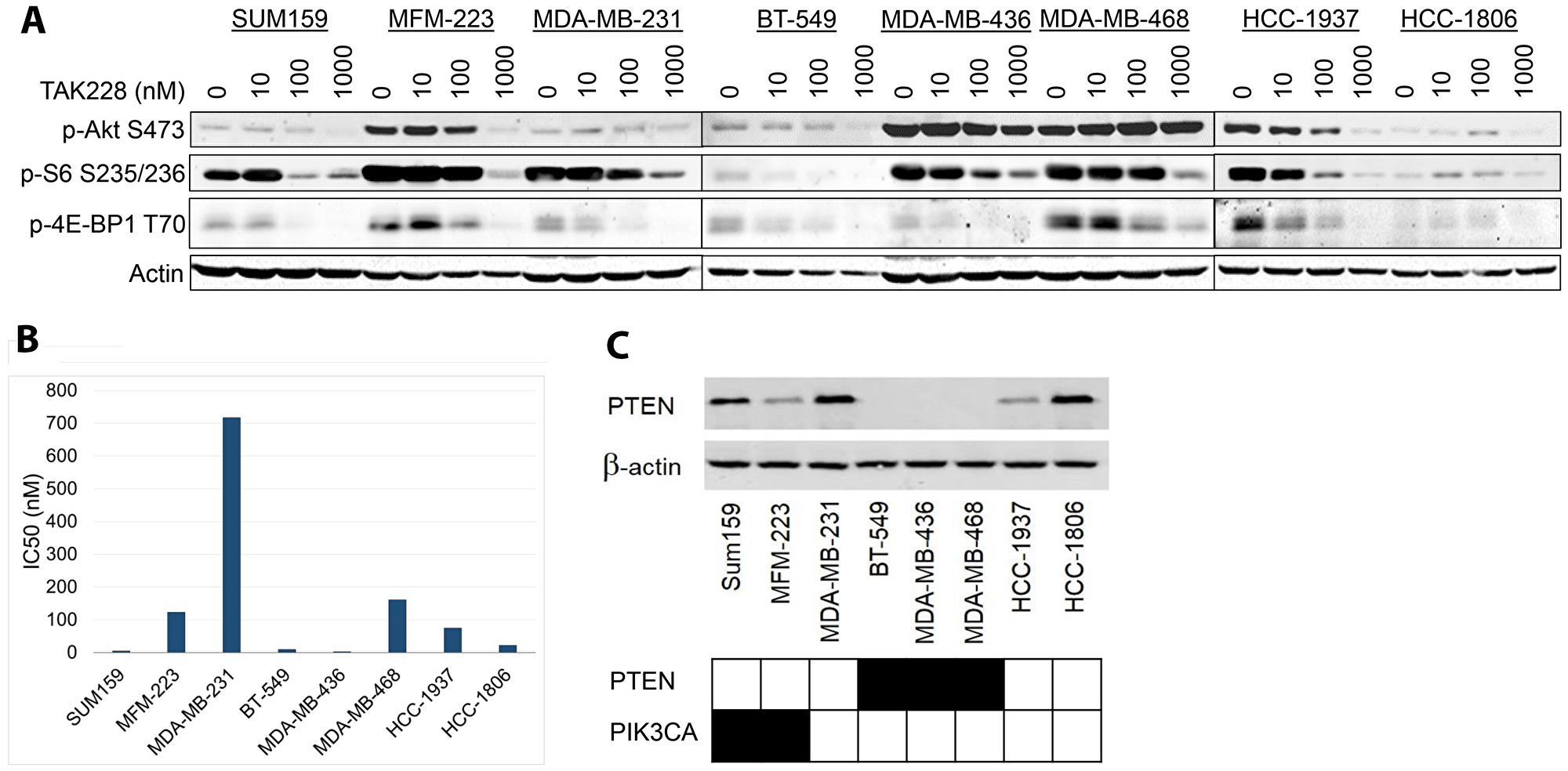 Effects of TAK228 on cell proliferation in vitro.