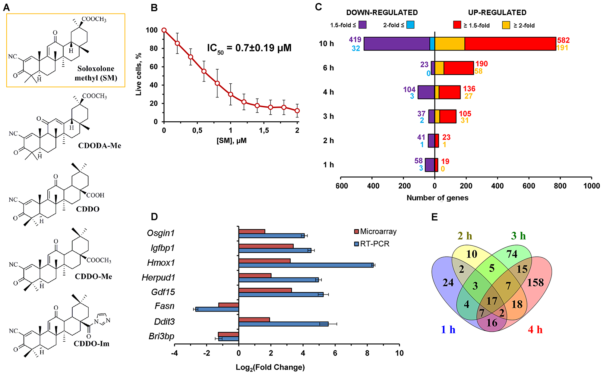 Effect of SM on transcriptome of KB-3-1 human cervical carcinoma cells