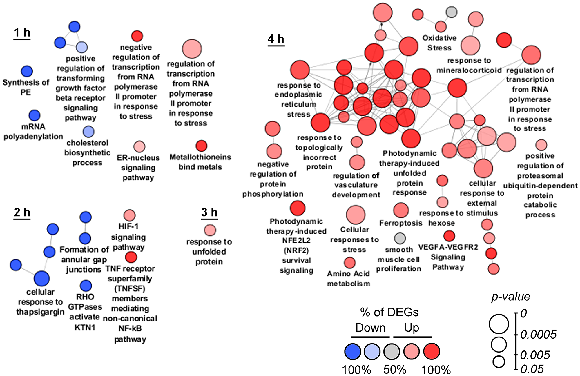 Functional analysis of DEGs detected at 1–4 h time points
