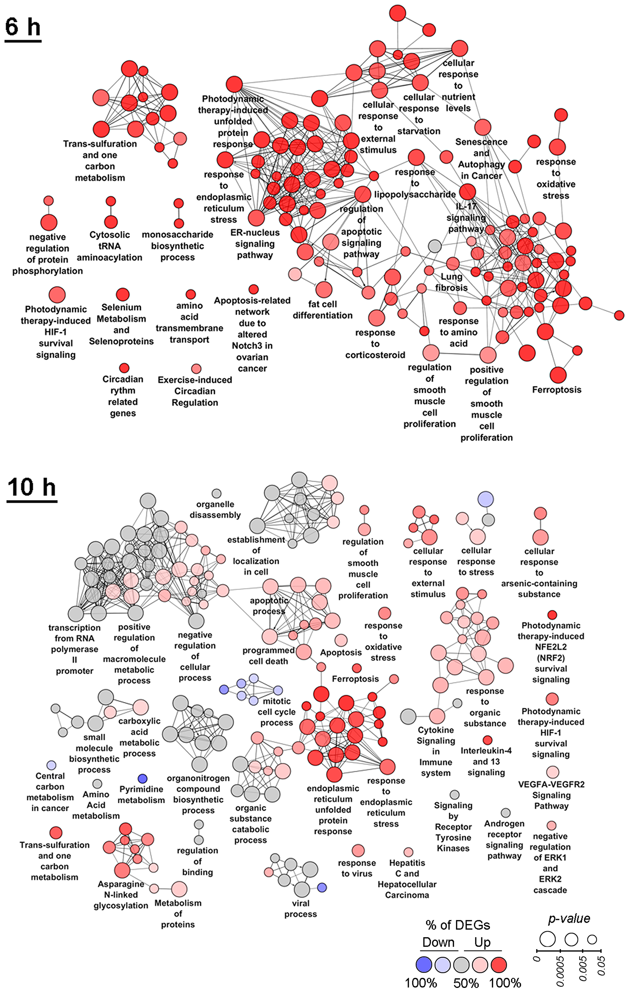Functional analysis of DEGs detected at 6 h and 10 h time points