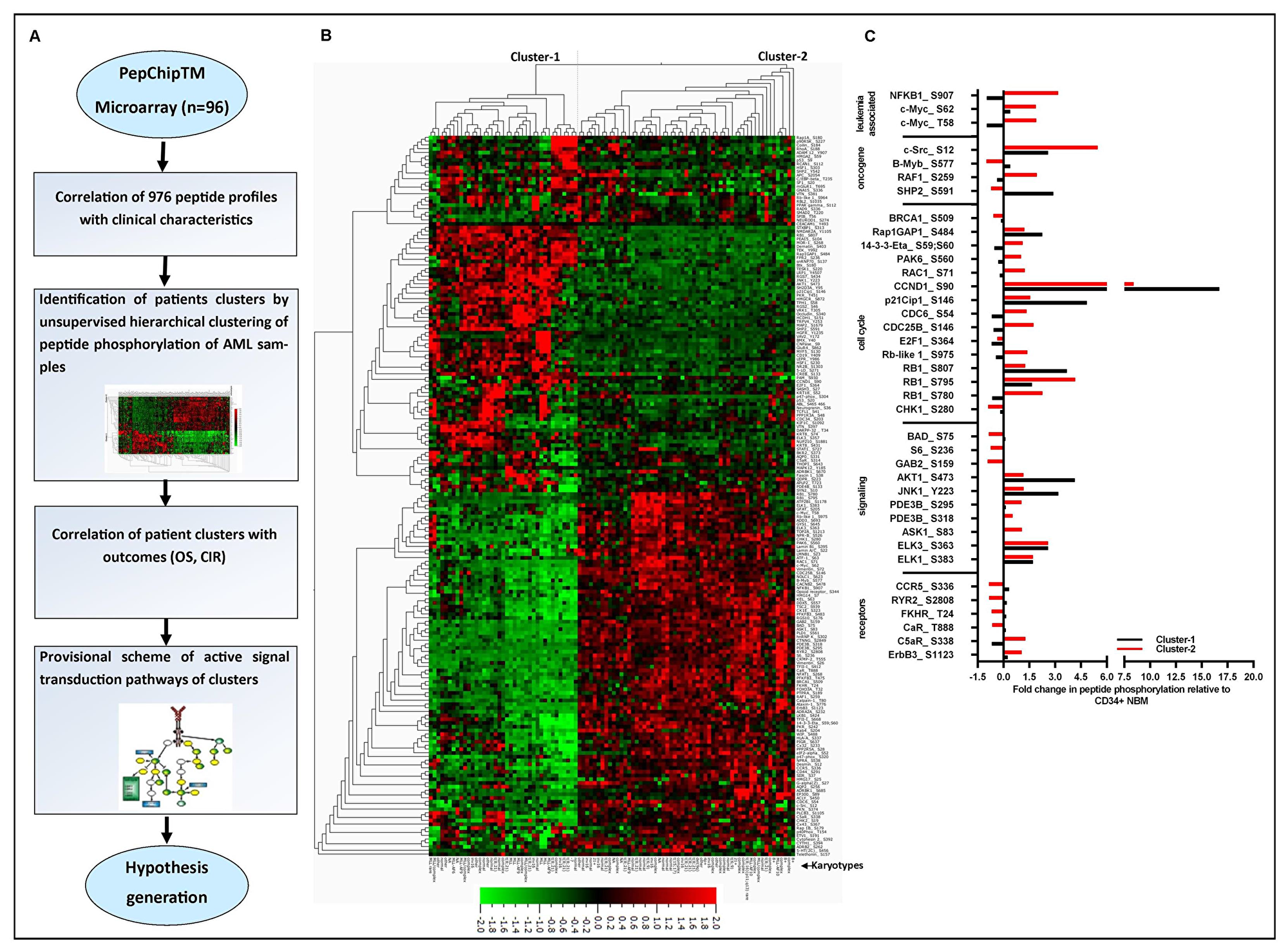 Peptide microarray profiling and its relation with patient outcome.