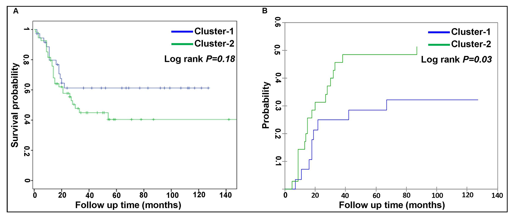 Comparison of patient outcome between two AML clusters.