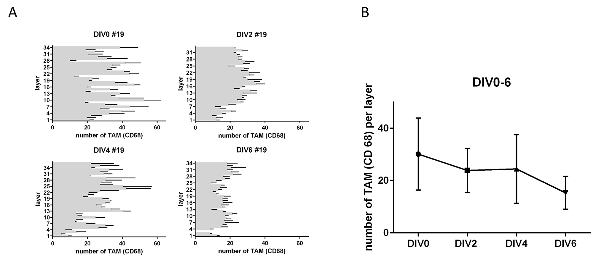 TAM in tumor slice cultures.