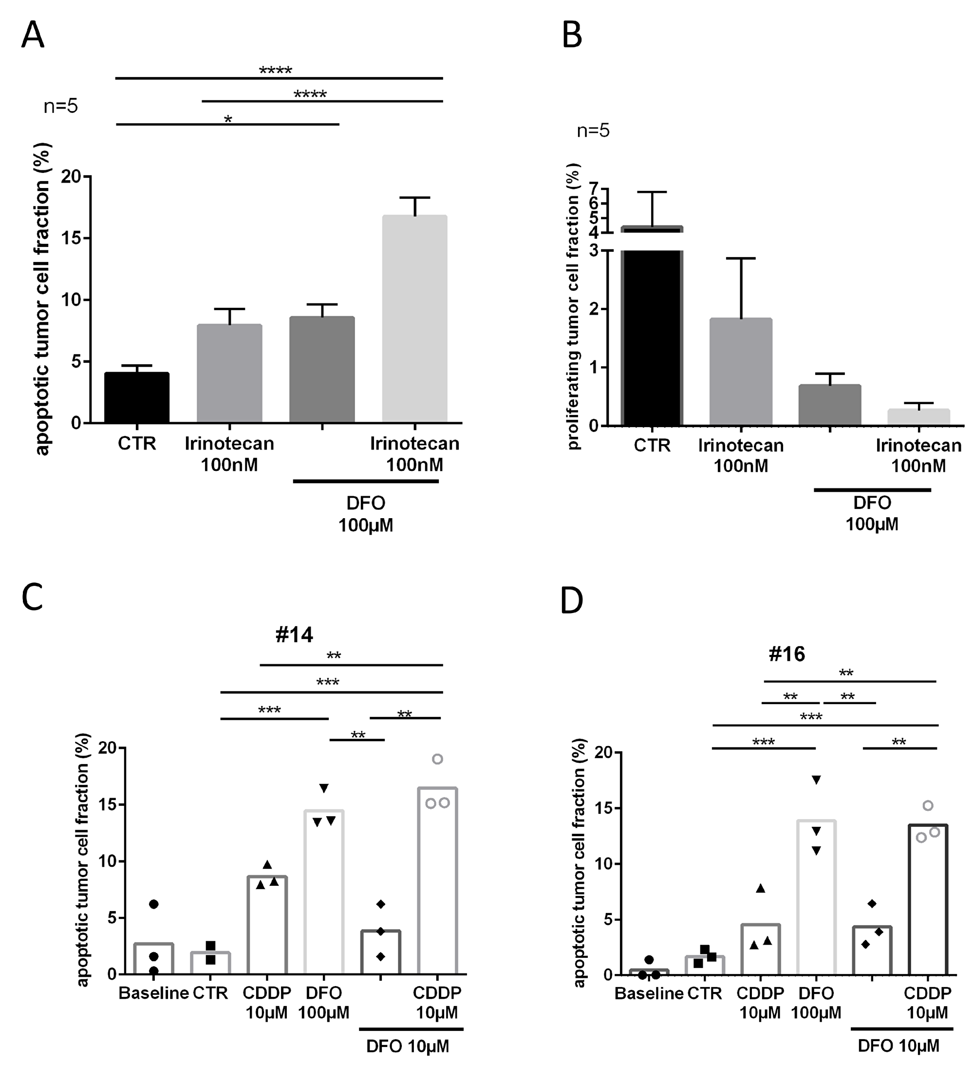 Tumor response to DFO and cytostatic treatment.