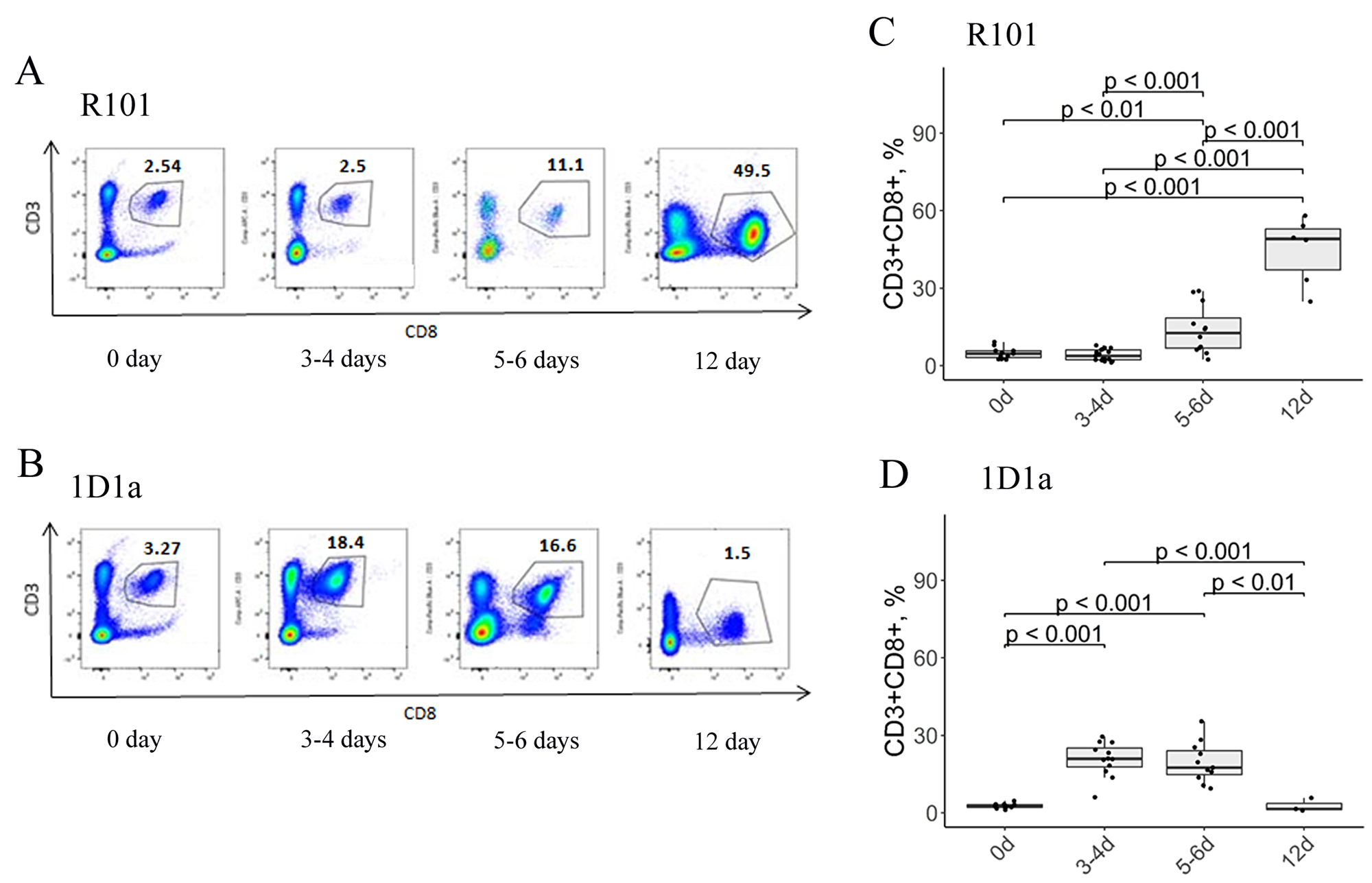 Flow-cytometric analysis of CD3/CD8 expression on lymphocytes from the peritoneal cavity of WT (A, C) and Tg (B, D) mice on days 0, 3-4, 5-6, and 12 after immunization.