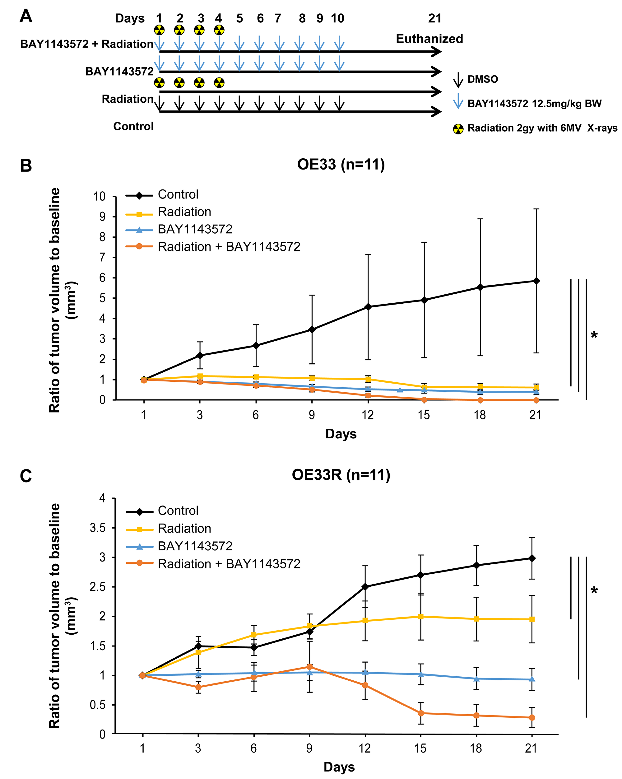 CDK9 inhibitor enhances sensitization of fractionated radiation in OE33 and OE33R xenografts.