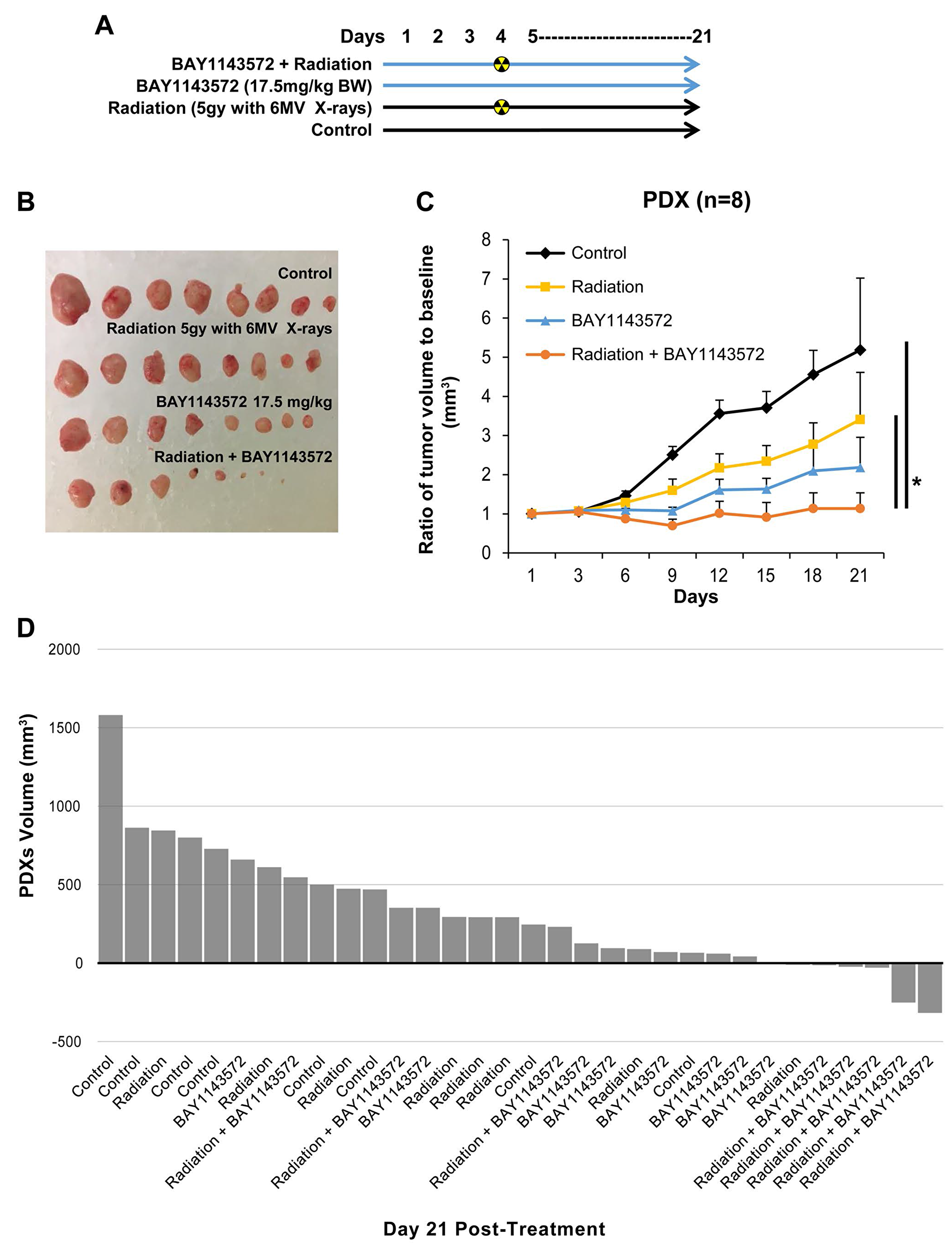 CDK9 inhibitor enhances sensitization of radiation in esophageal adenocarcinoma PDXs.