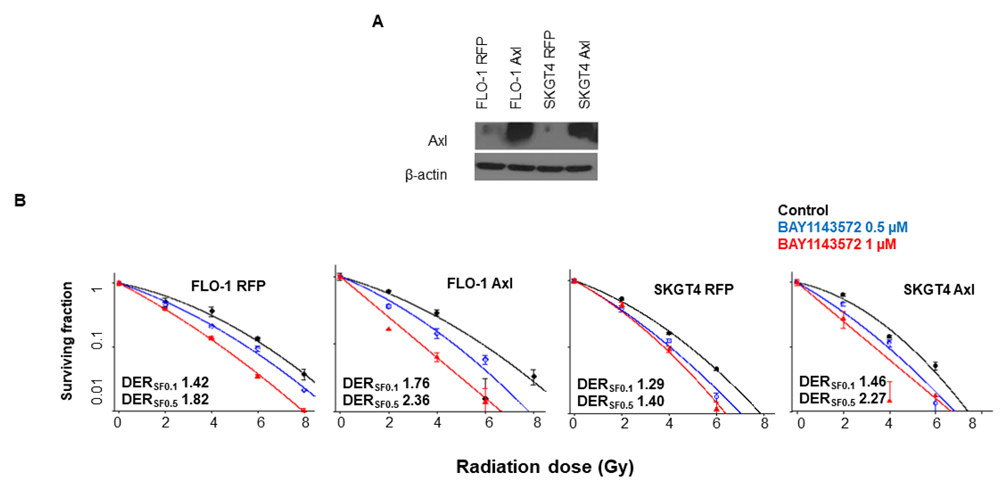 Overexpression of Axl enhanced radiosensitization by CDK9 inhibitors in esophageal adenocarcinoma cells.