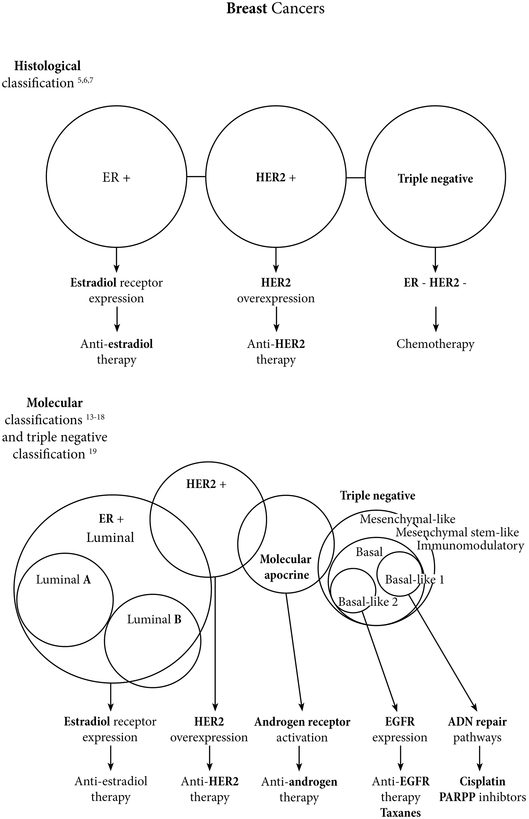 Breast cancers landscape evolution from histologic to molecular classifications.