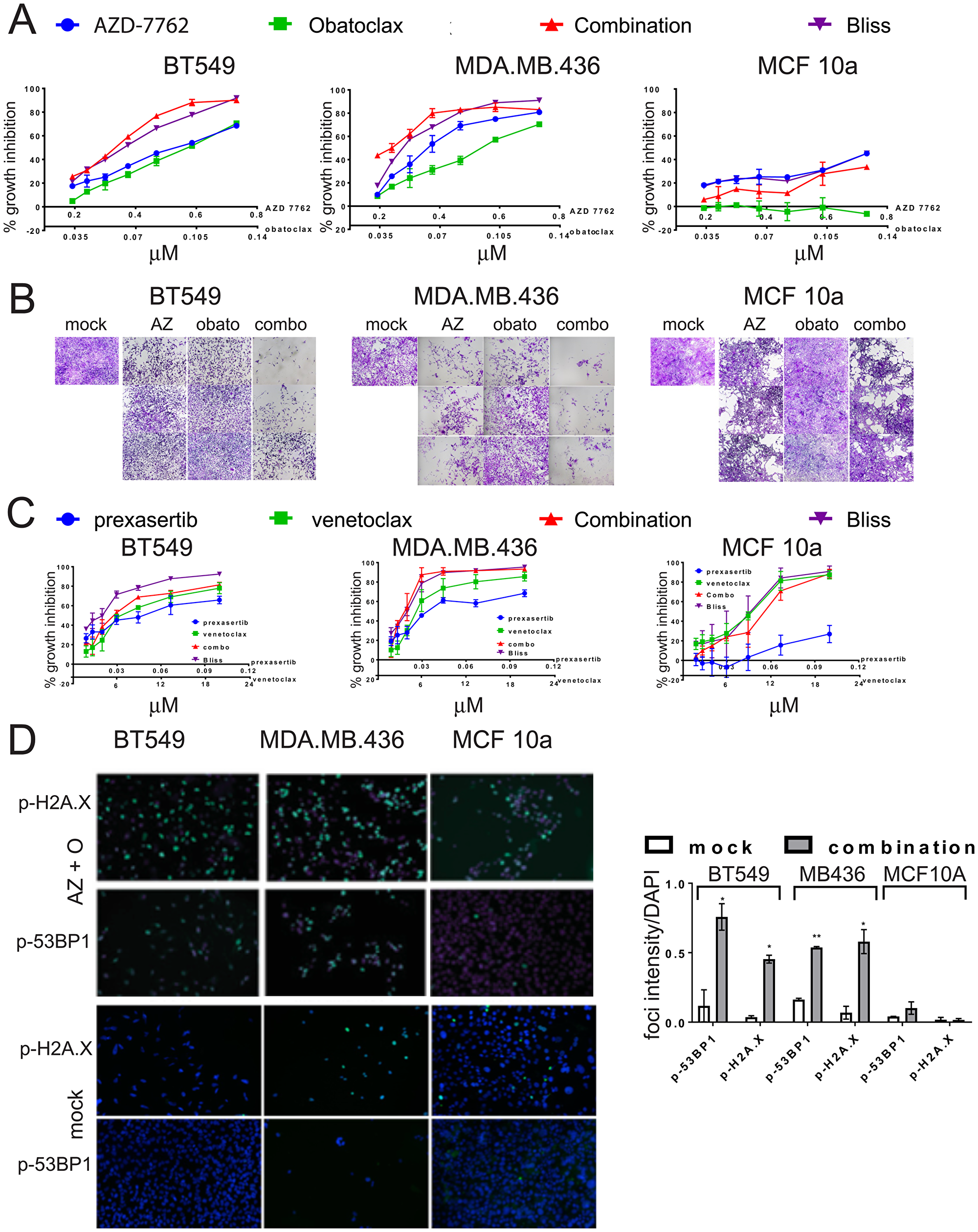 Growth inhibition of TNBC cell lines by combinations of CHK1 inhibitors and BCL-2 inhibitors.