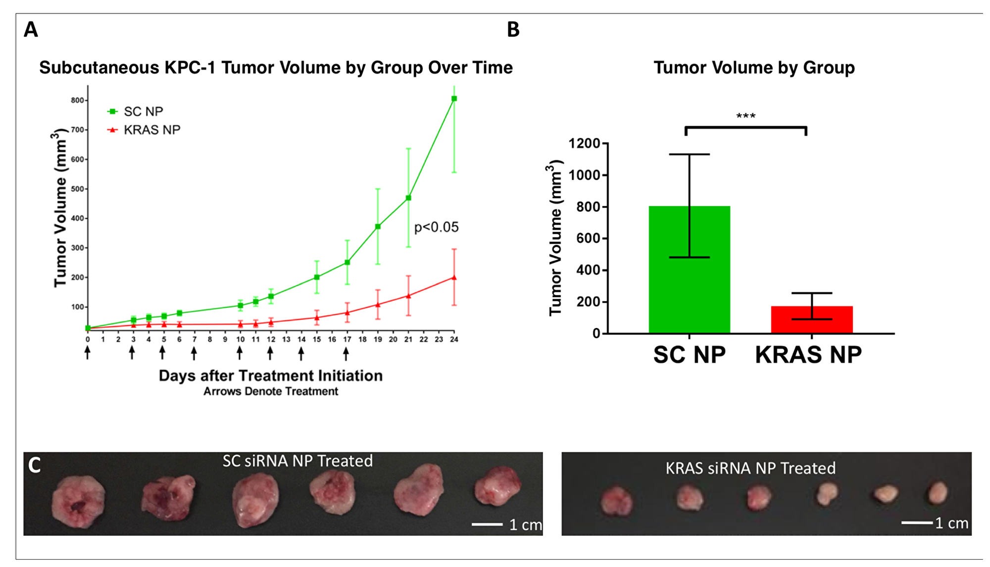 Demonstration of KPC-1 pancreatic cancer growth suppression in-vivo.