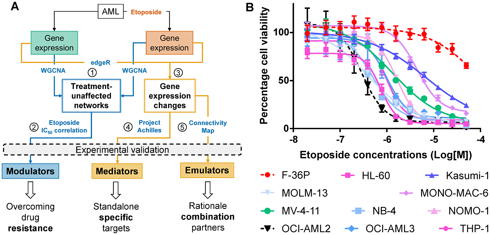 Identifying drivers of differential etoposide sensitivity in AML cell lines