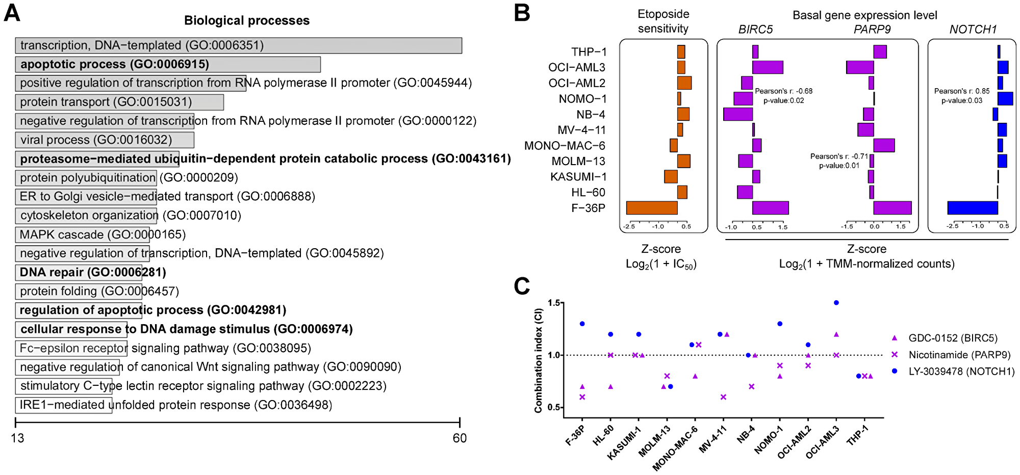 Impeding modulators synergize with etoposide