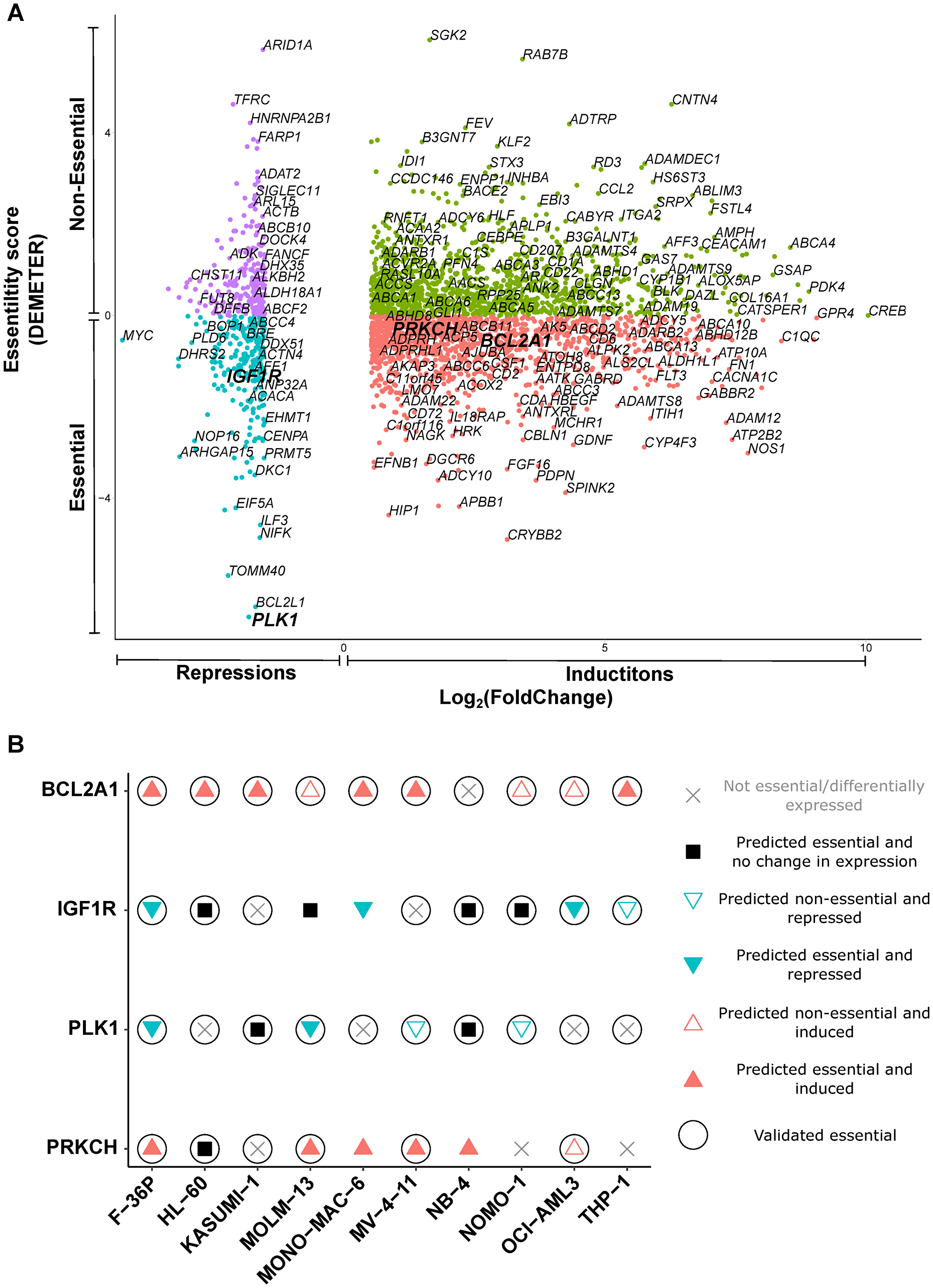 Essential mediators exert cytotoxicity in AML cell lines