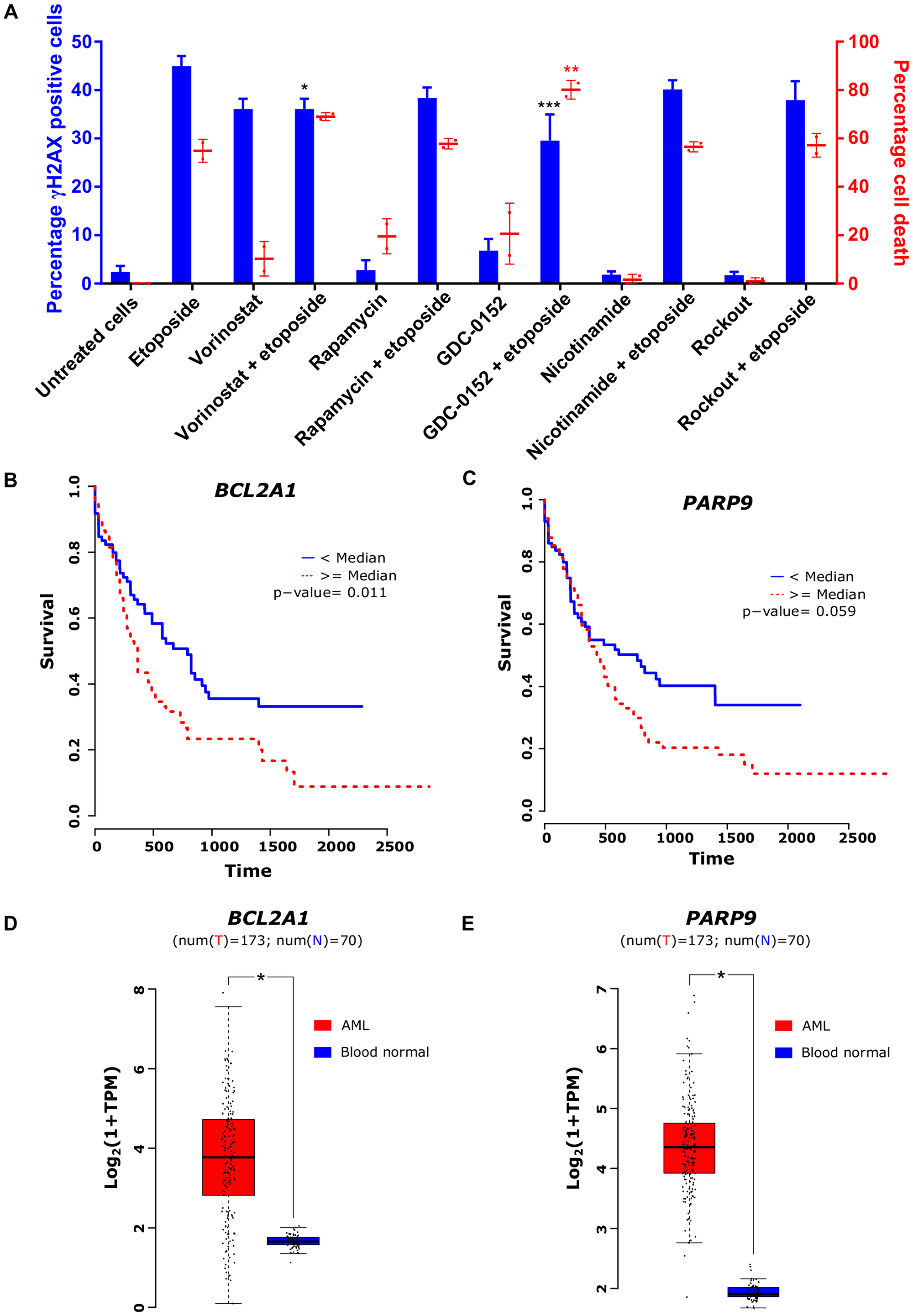 Safety and clinical relevance of transcriptional drivers of etoposide