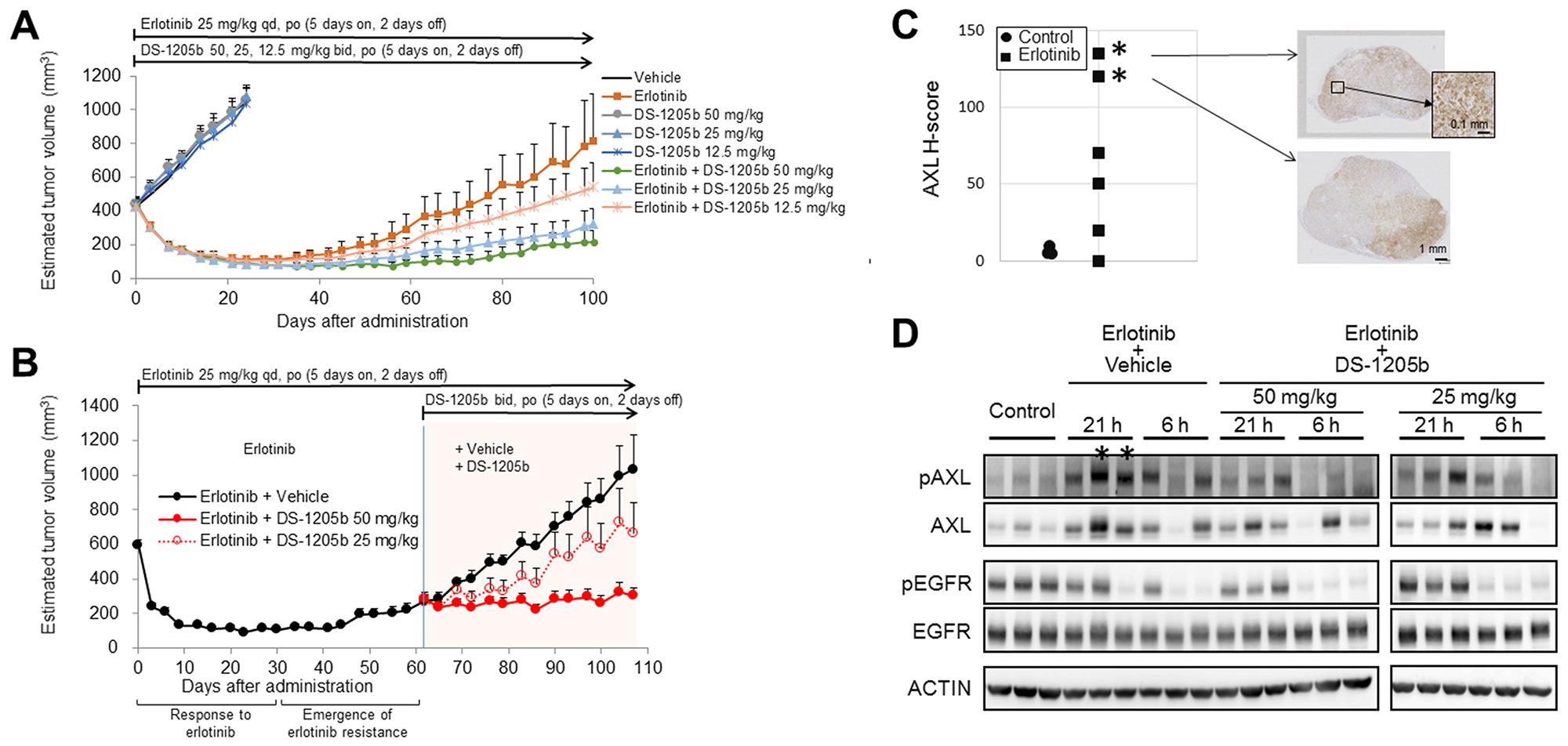 DS-1205b delays erlotinib acquired resistance and restores the treatment effect of erlotinib in an HCC827 sc xenograft model