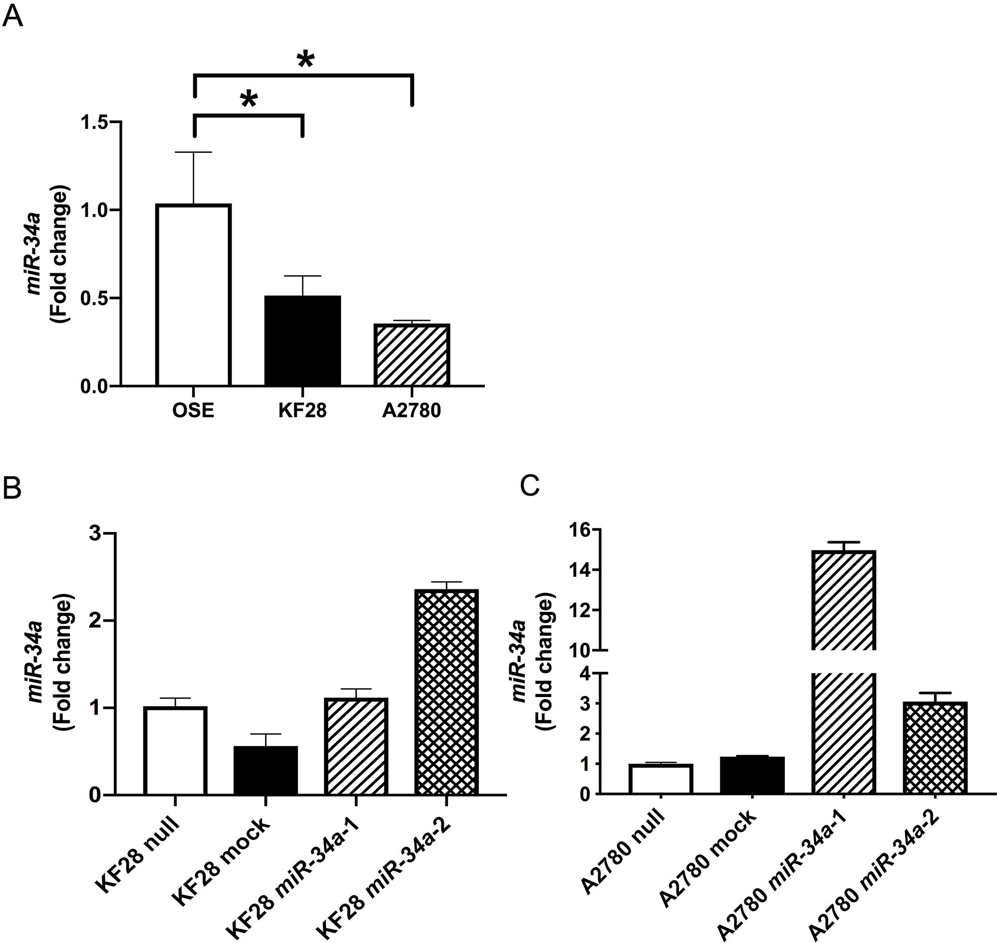 Establishment of HGSC cell lines with stable miR-34a overexpression miR-34a expression was quantified using the comparative method in real-time RT-PCR analysis