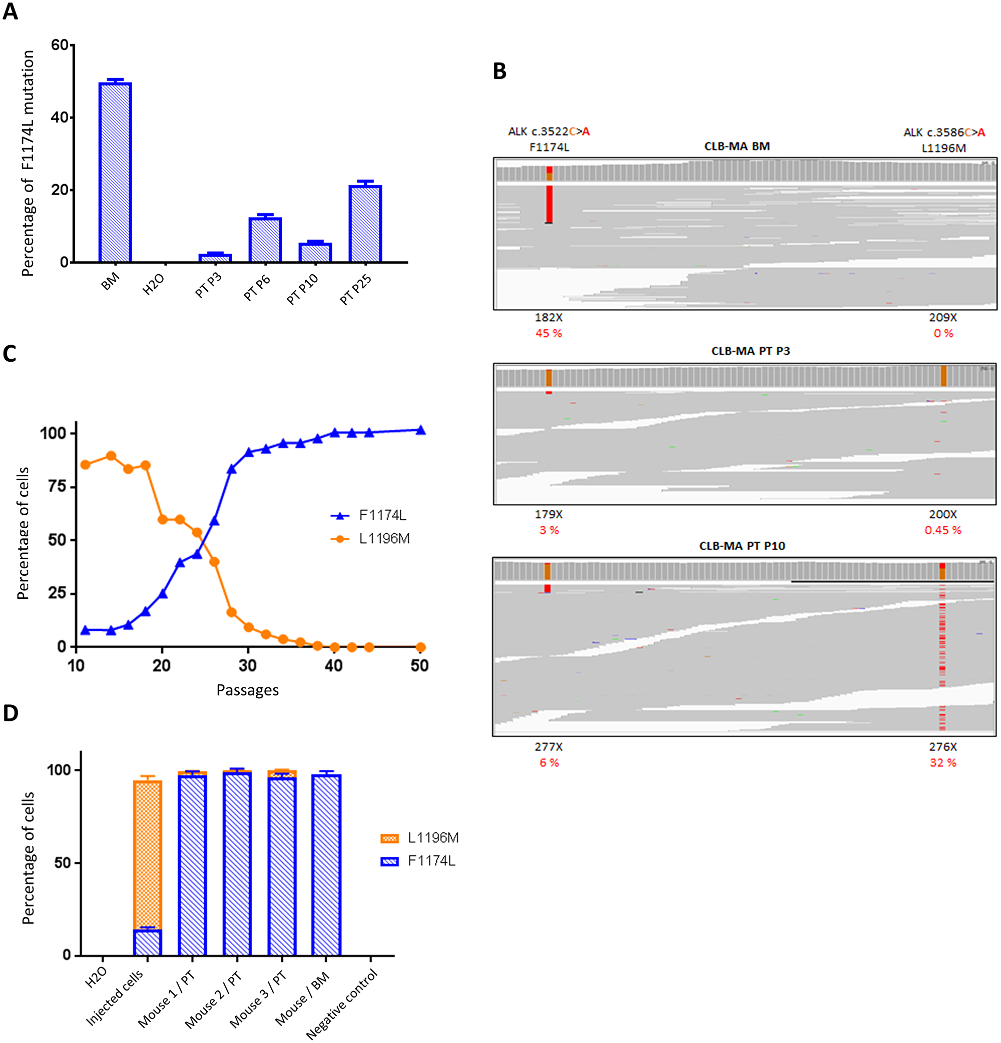 Identification of a second ALK mutation (L1196M) in CLB-MA PT and dynamics of subclone growth in vitro and in vivo.