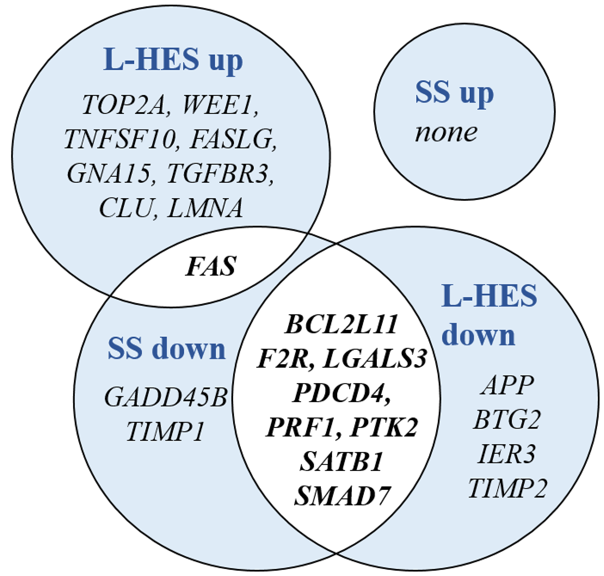 DEGs shared between SS and L-HES are enriched in the Hallmark gene set for apoptosis
