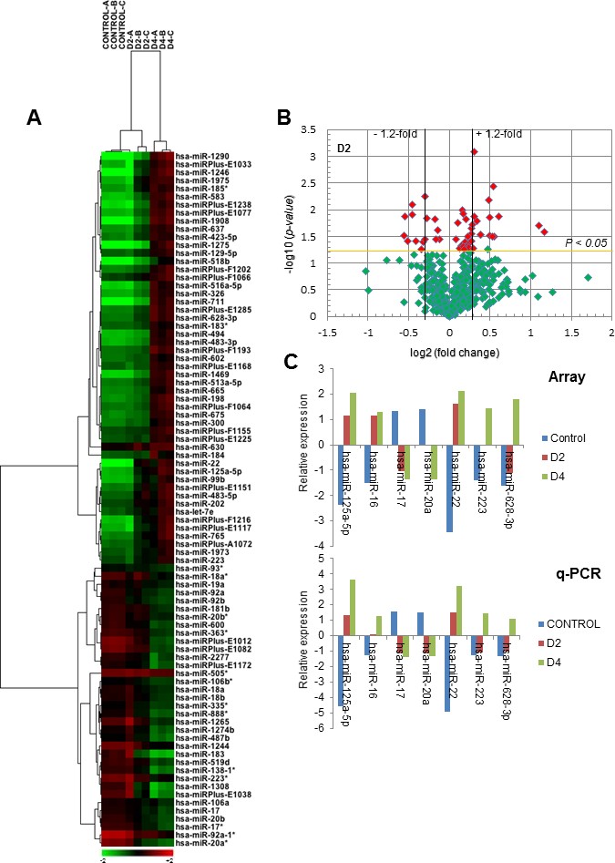 miRNA expression analysis during DMSO-induced HL-60 differentiation towards the granulocytic lineage