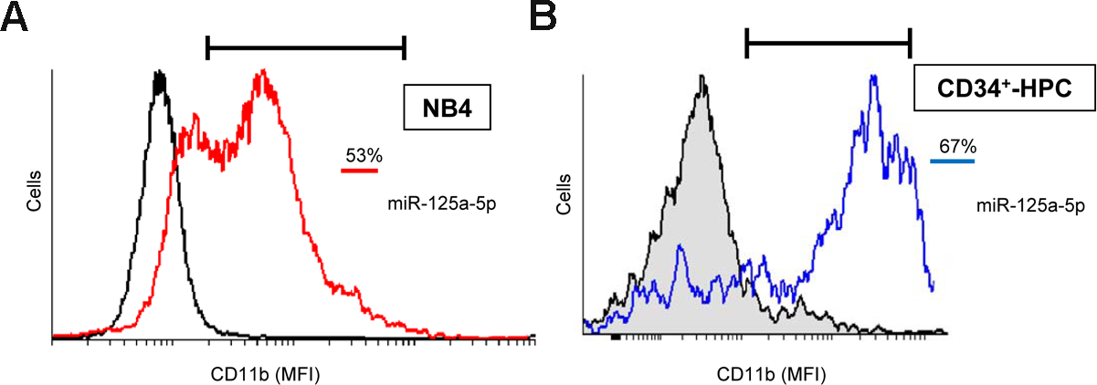 Ectopic expression of miR-125-a-5p promotes granulocytic cell differentiation of human promyelocytic NB4 cells and primary CD34+-HPCs
