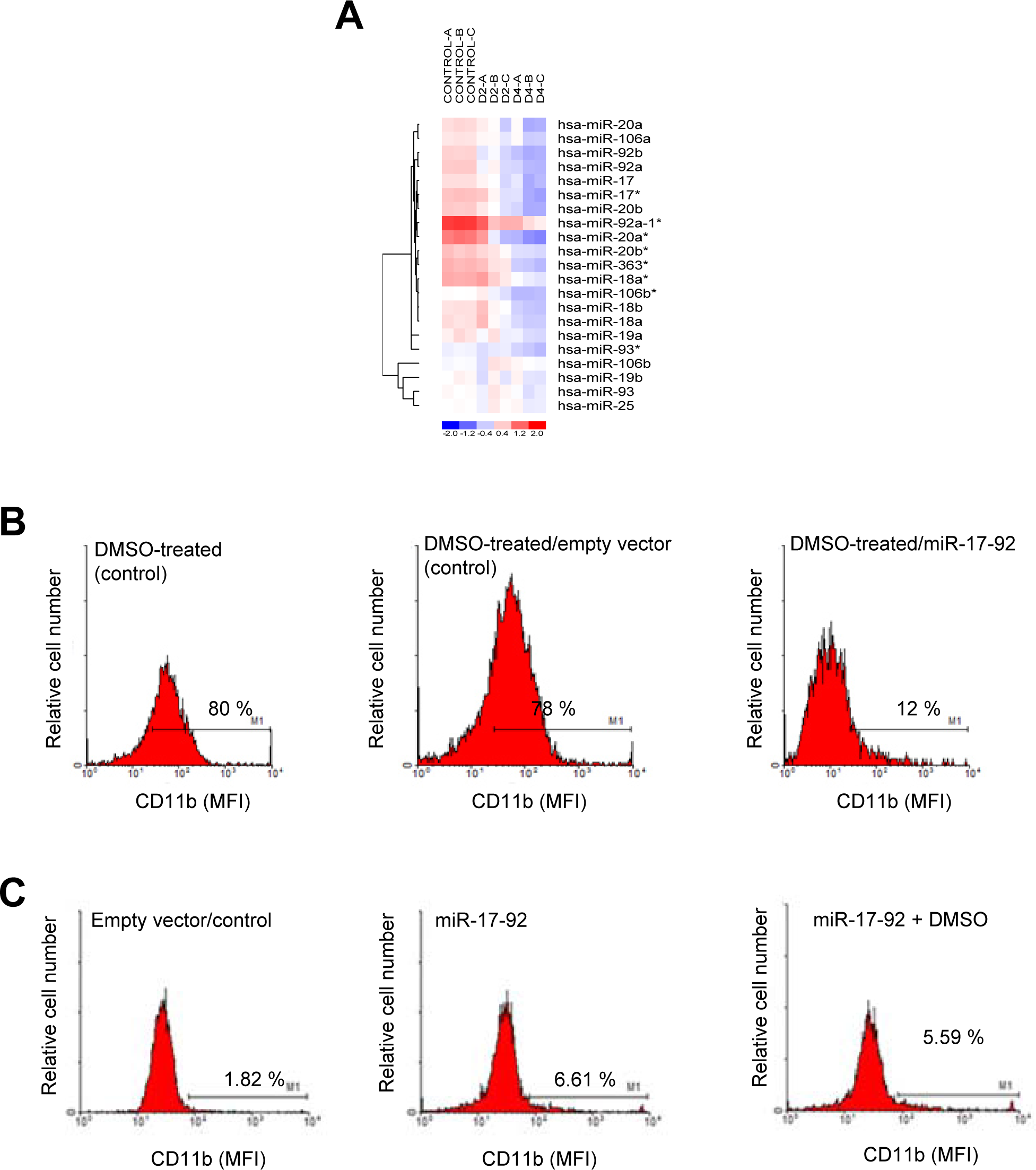 Effect of miR-17-92 cluster ectopic expression in HL-60 differentiation towards the granulocytic lineage