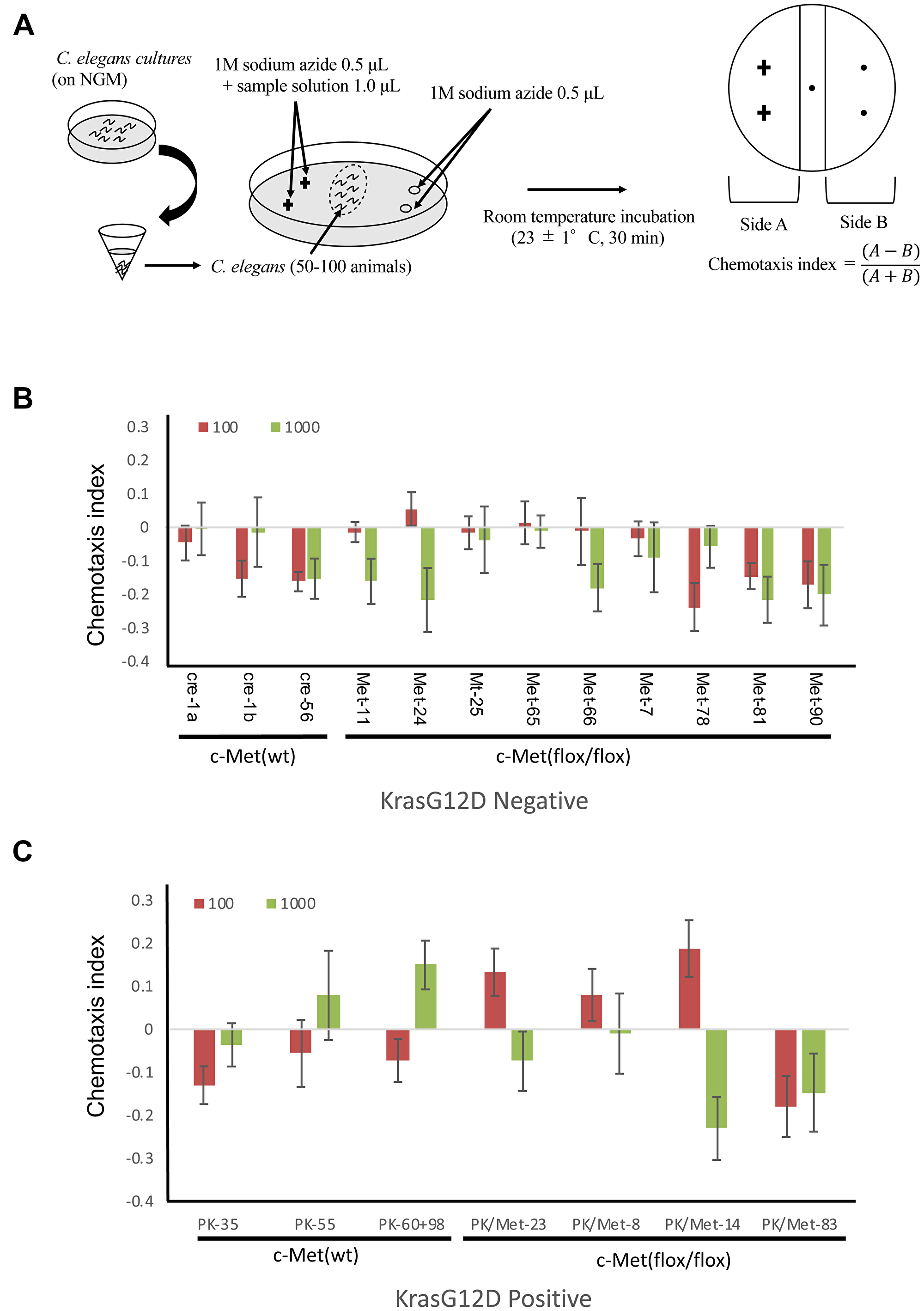 Detection of tumor in mice by C. elegans scent
