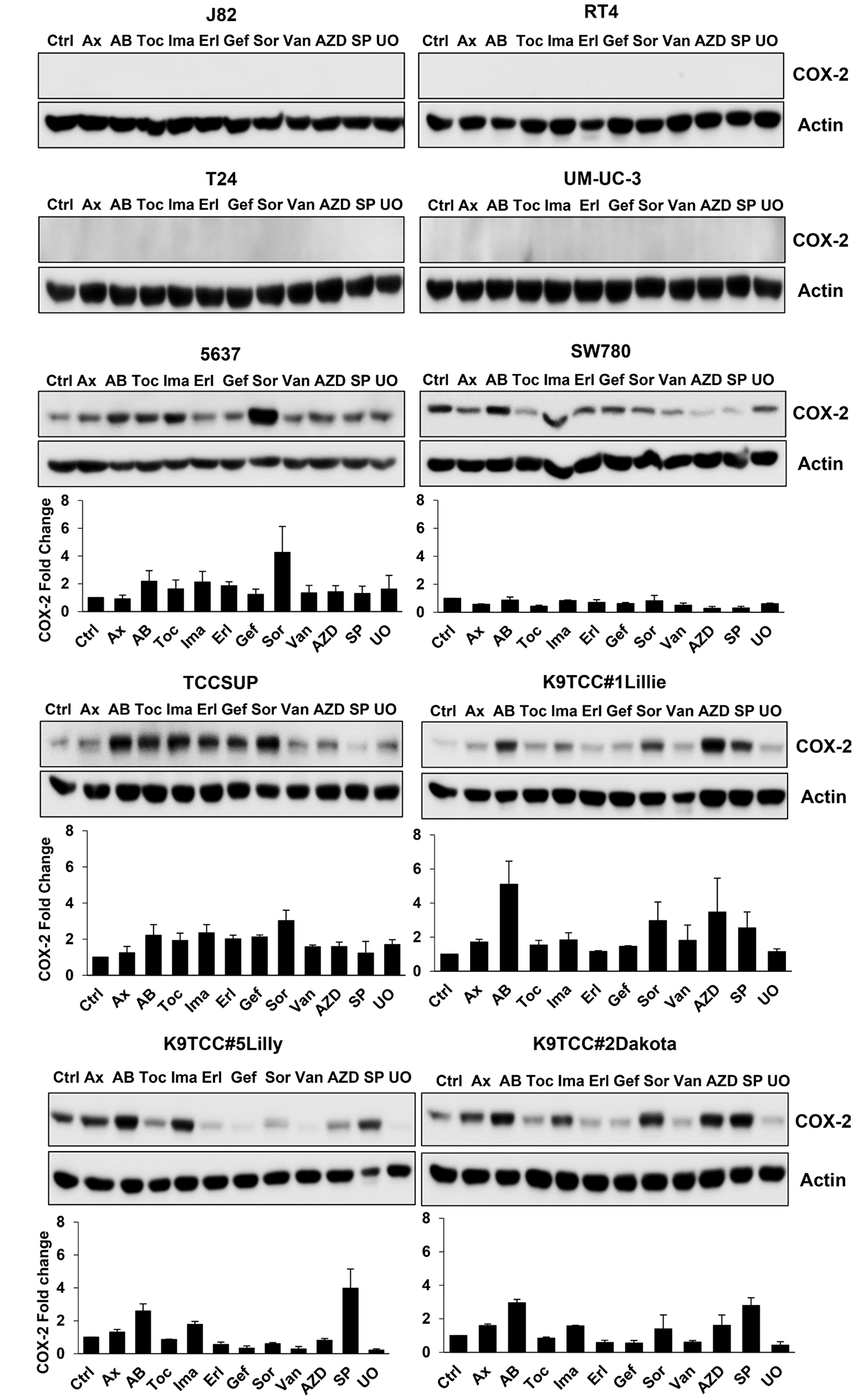 RTKIs and TKIs increased COX-2 expression in six out of ten tested bladder cancer cells