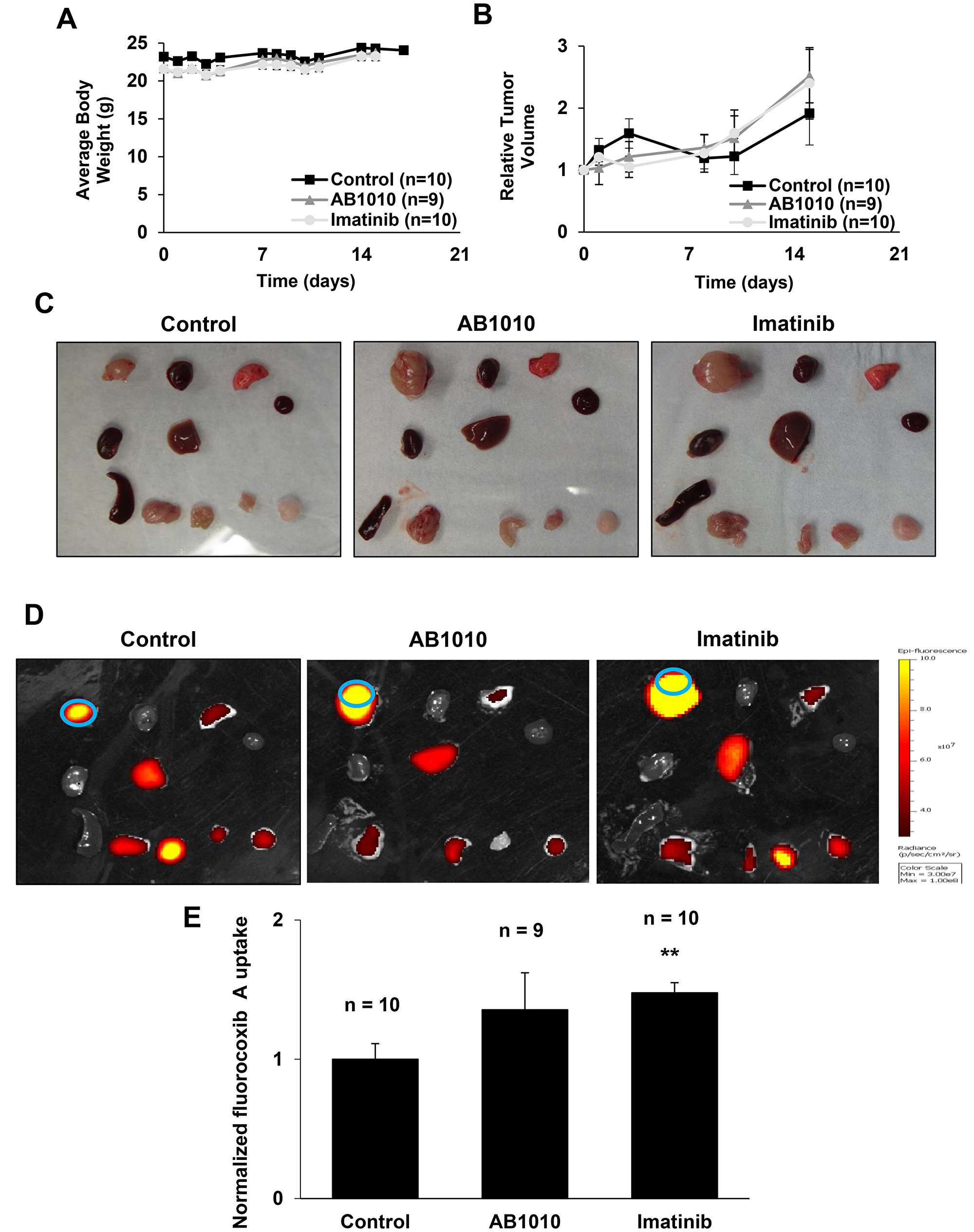 RTKIs-induced COX-2 expression in K9TCC#5Lilly xenograft tumors detected by fluorocoxib A uptake