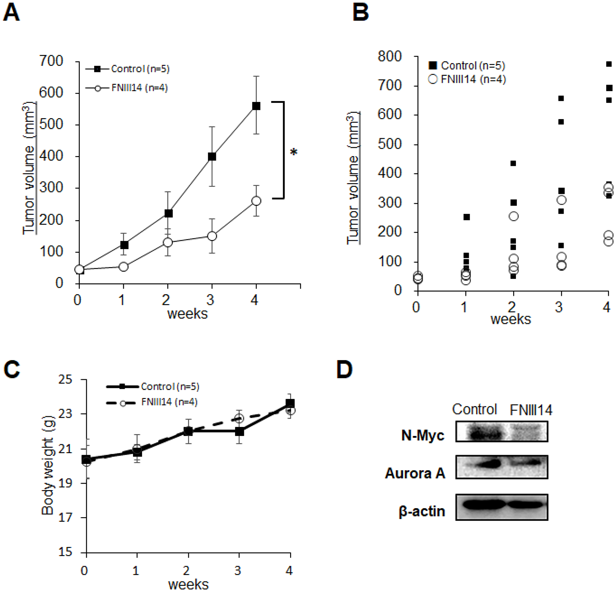 Administration of FNIII14 suppresses tumor growth in neuroblastoma xenograft model.