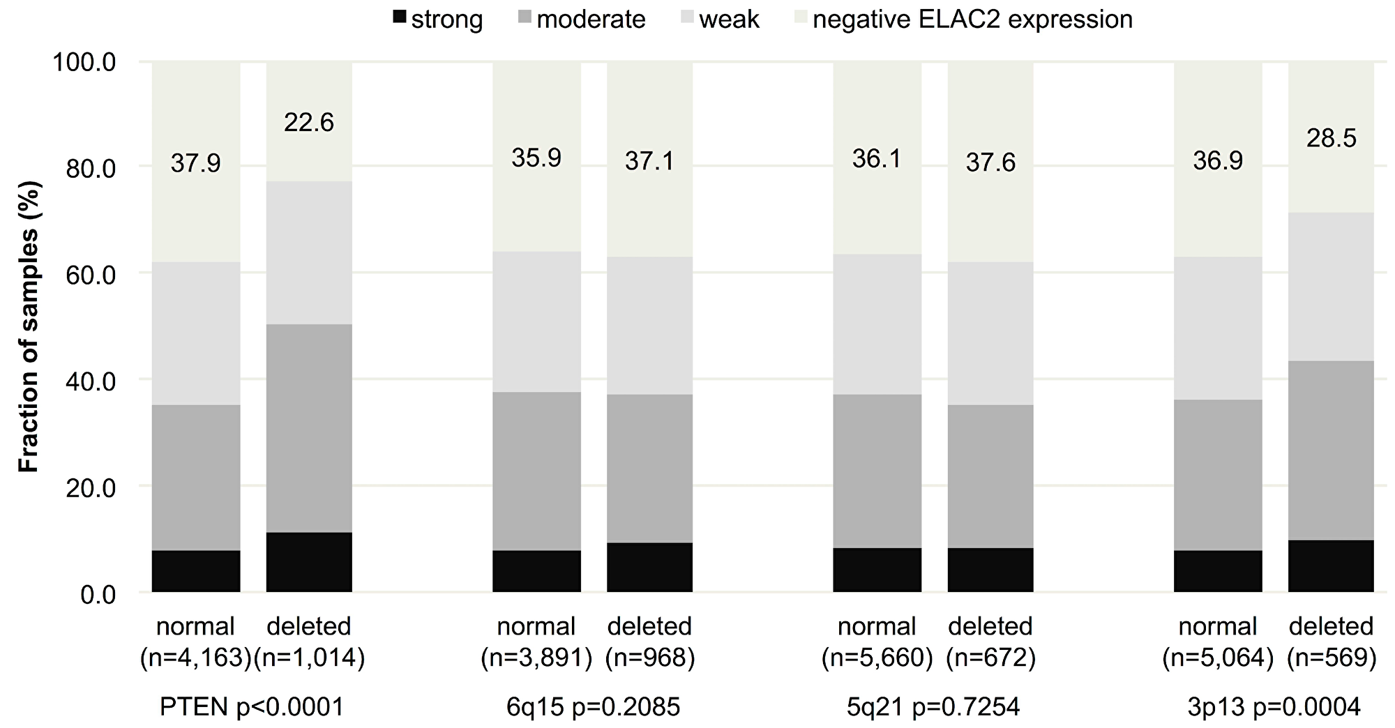 Association between nuclear ELAC2 staining and 10q23 (PTEN), 5q21 (CHD1), 6q15 (MAP3K7), and 3p13 (FOXP1) – deletion.