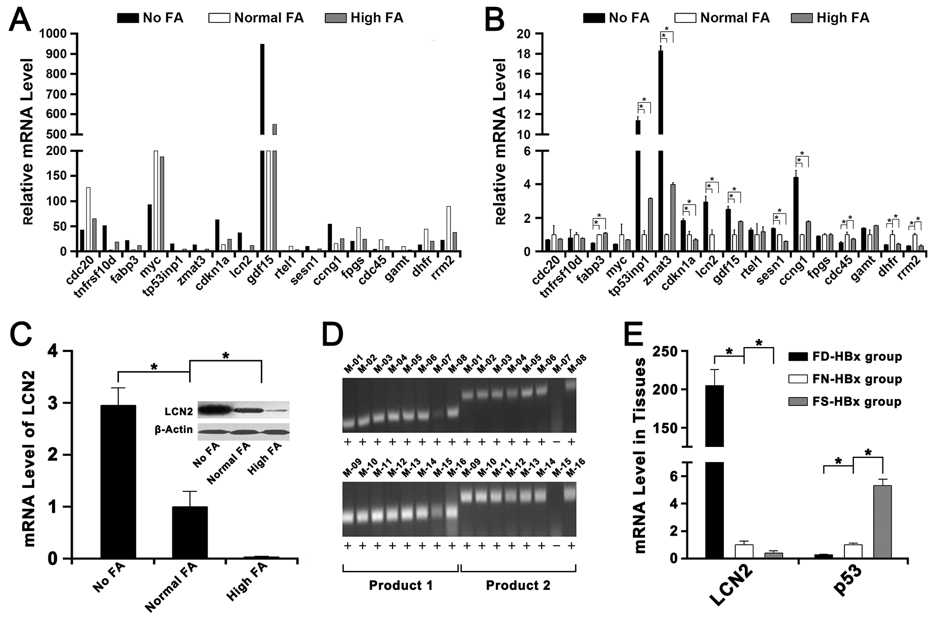 Transcriptome sequencing and validation of the RNA-seq data by Q-RT PCR