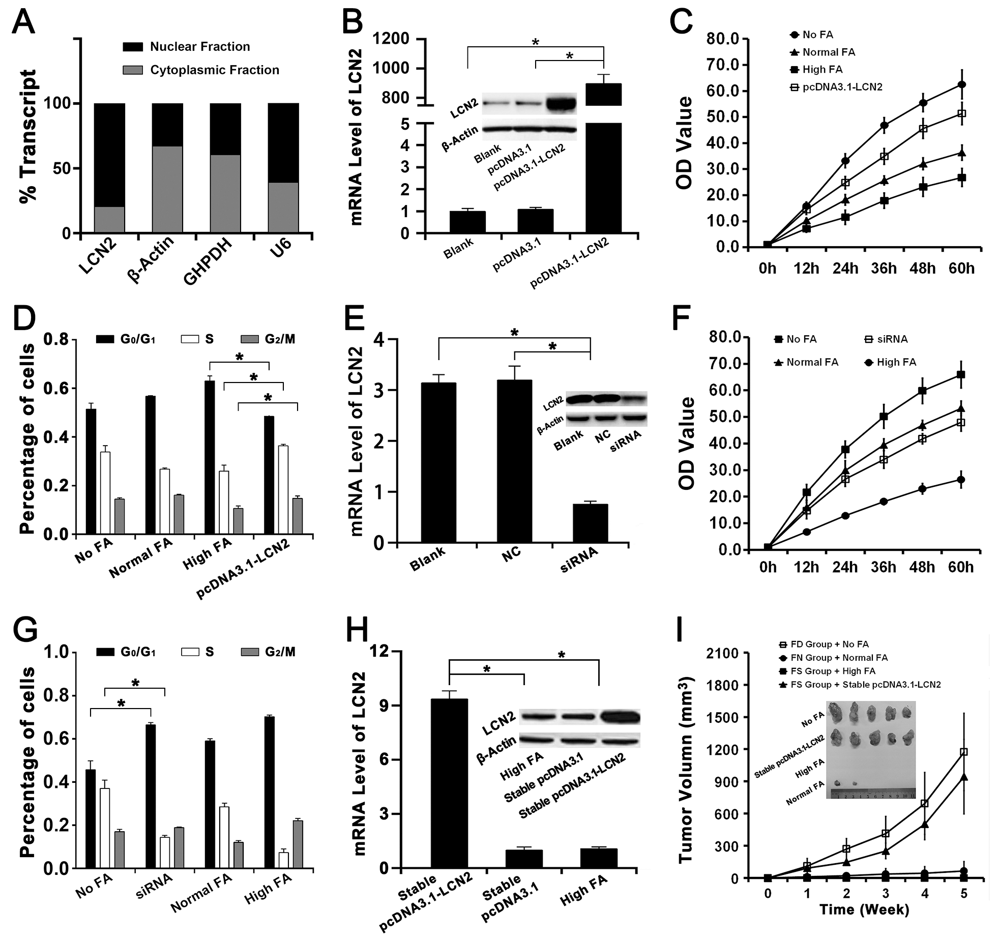 The effects of LCN2 on FA deficiency induced hepatocarcinogenesis and the chemoprevention of FA supplementation