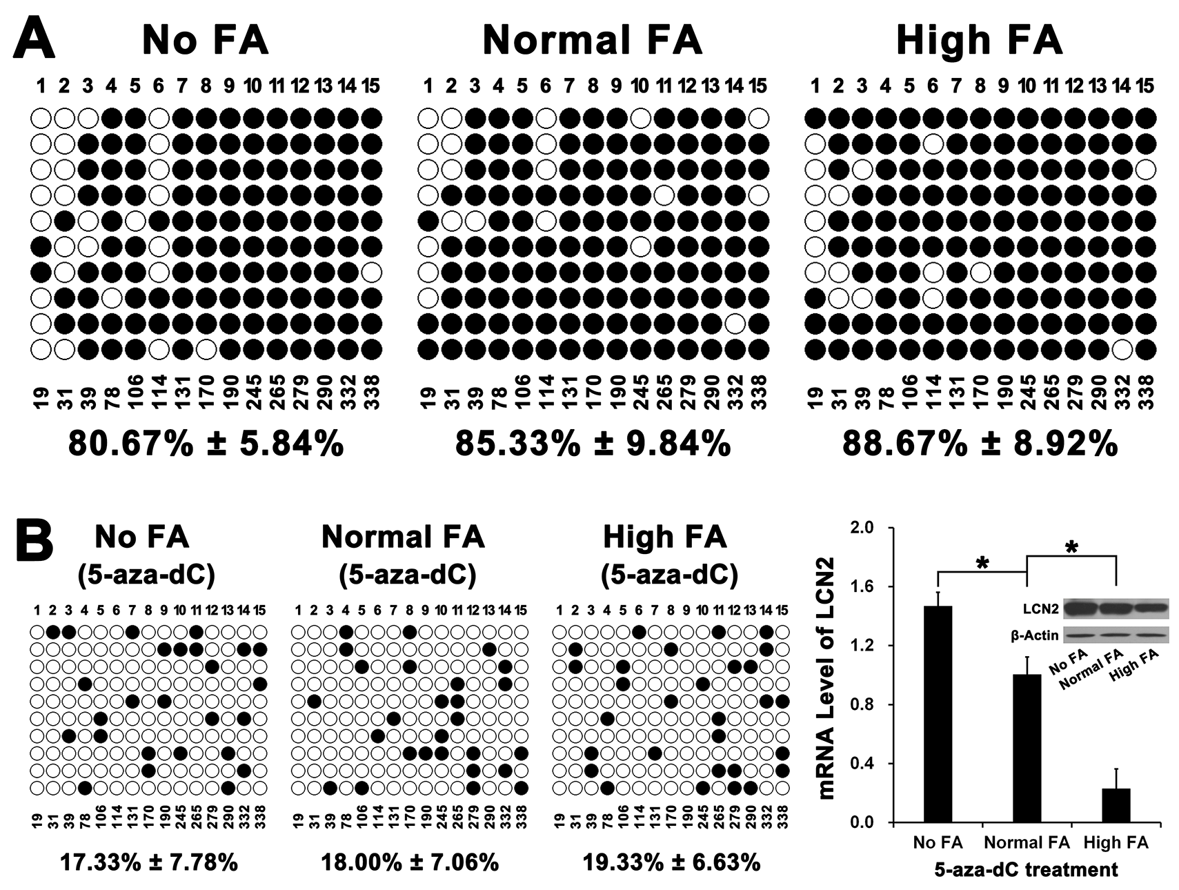 The effect of FA on DNA methylation of CpG island in the promoter of LCN2