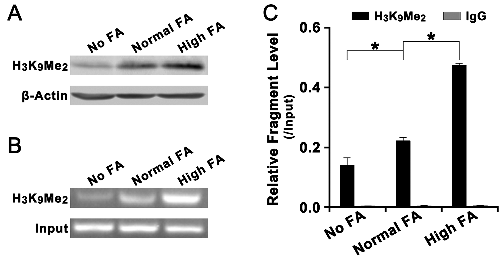 Effect of FA on the level of histone H3K4Me2 in the promoter of LCN2