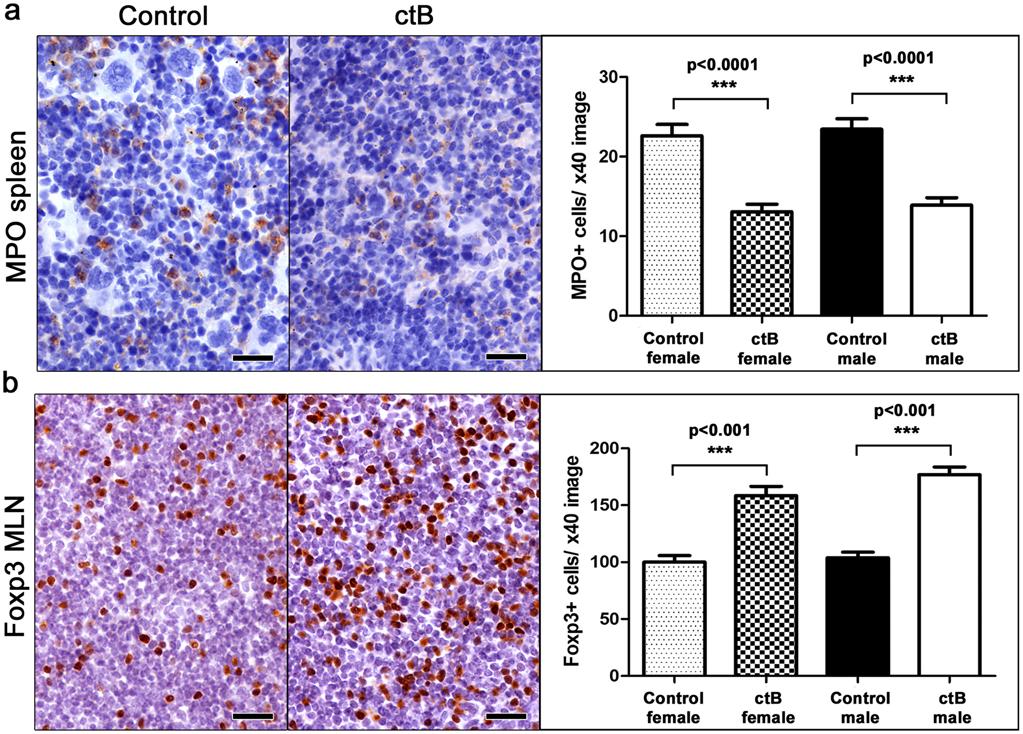 Early-life oral dosing with ctB has lifelong effects in immune cell population host profile