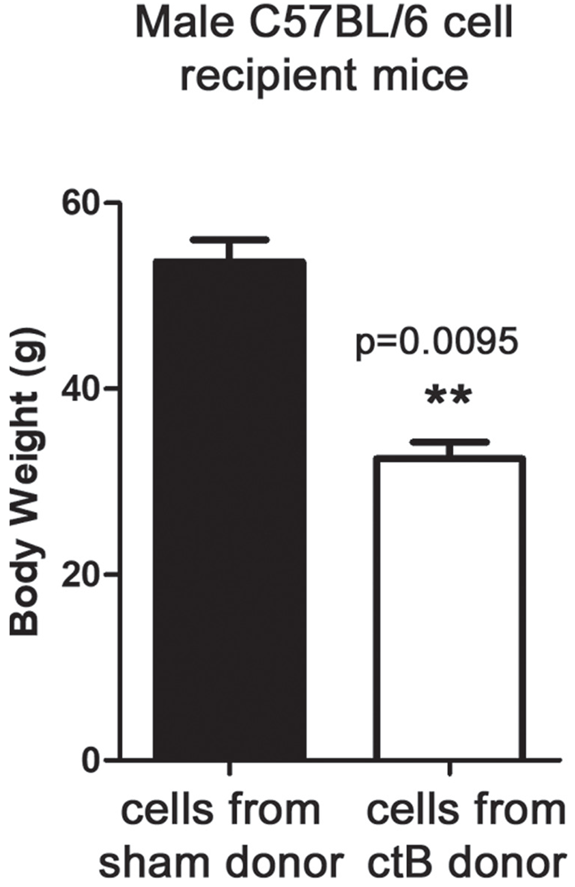 ctB control of age-associated increase of body weight is mediated by immune cells