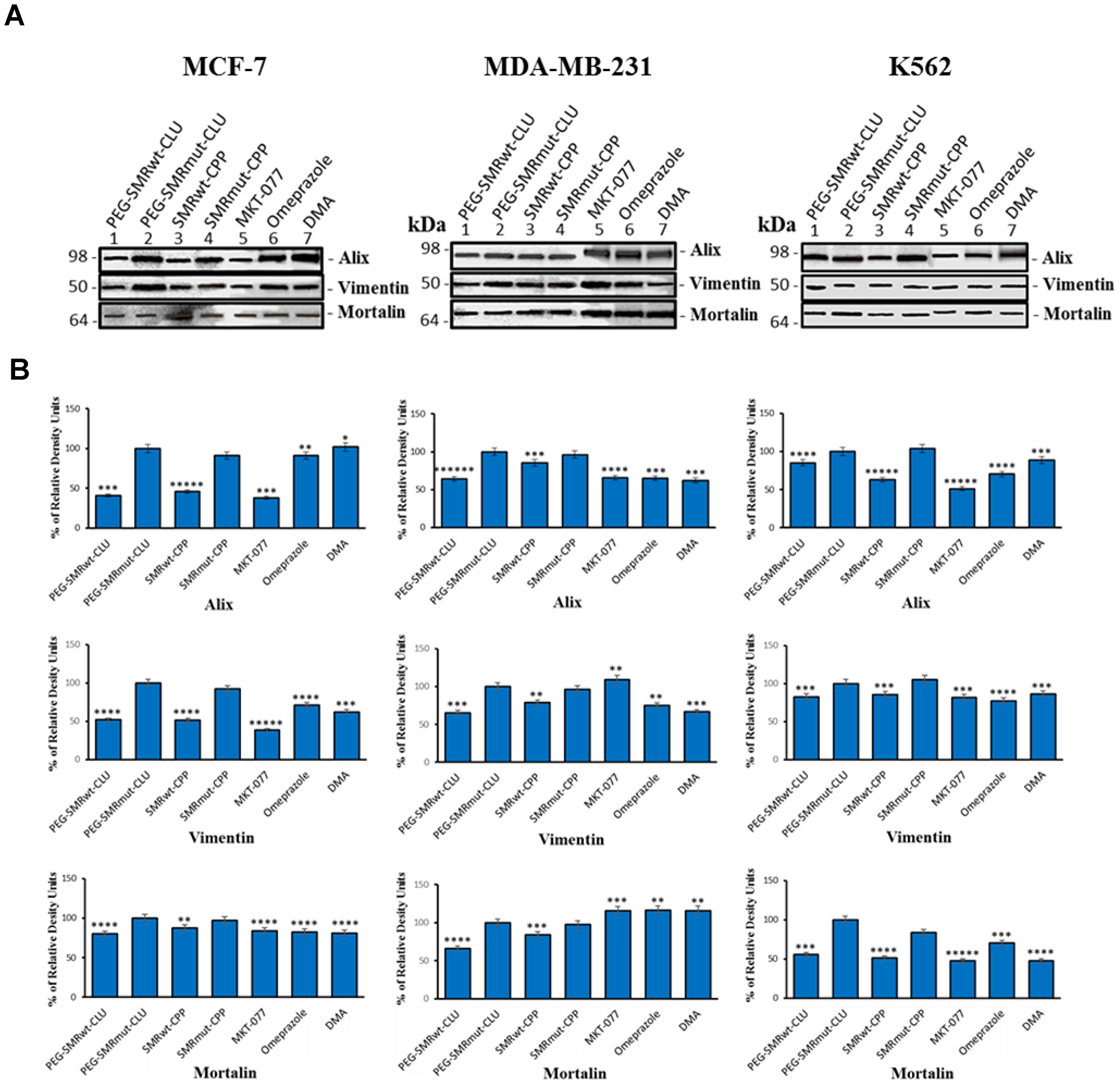 Mortalin, vimentin and EV–specific proteins can be detected in extracellular vesicles of MCF-7 breast cancer cells