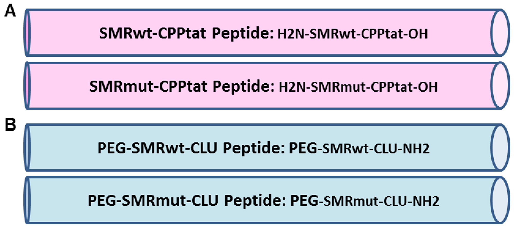 Development of SMR peptides antagonist for cancer cells